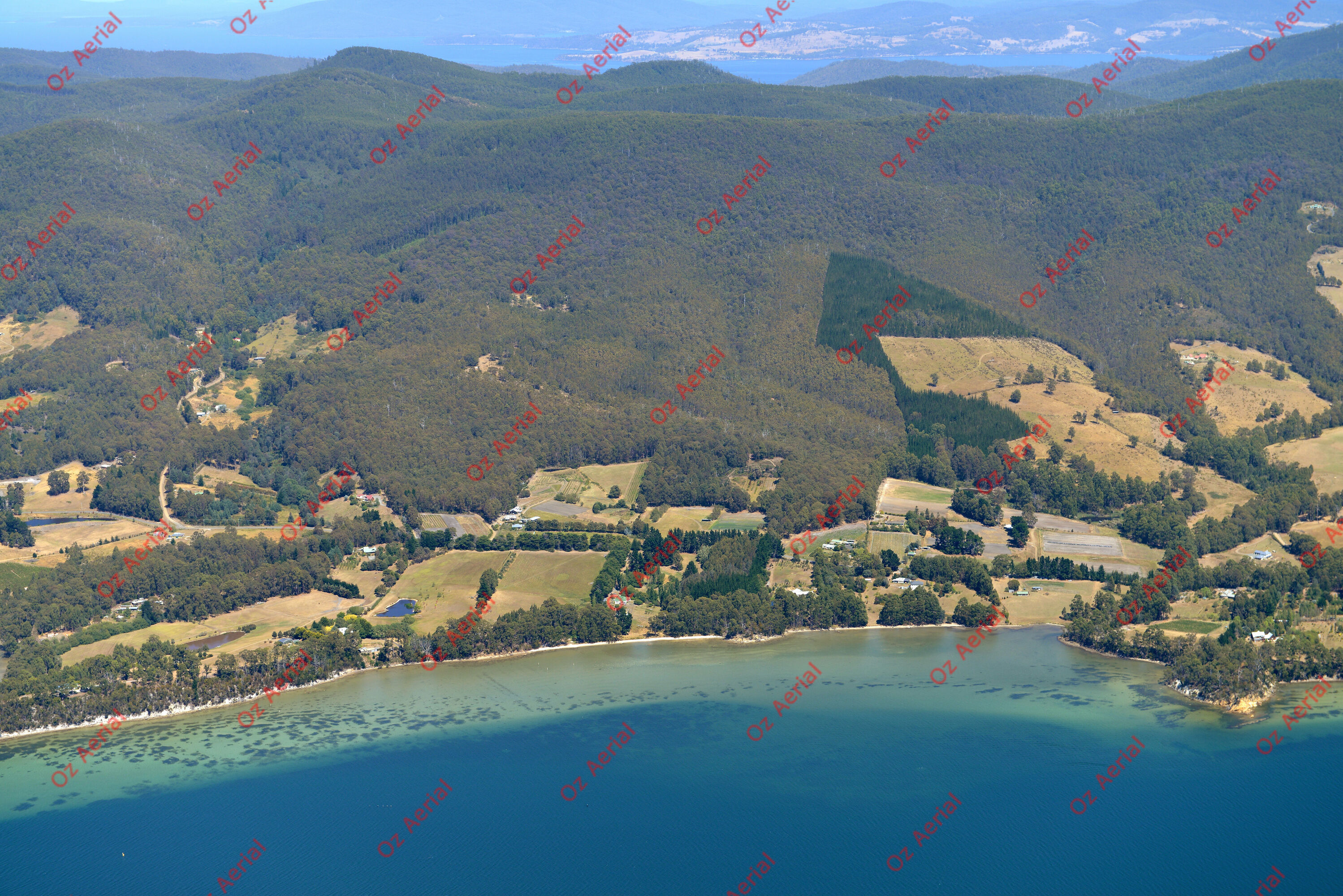 Birchs Bay&nbsp;&nbsp;–&nbsp;&nbsp;DSC_4397.JPG
