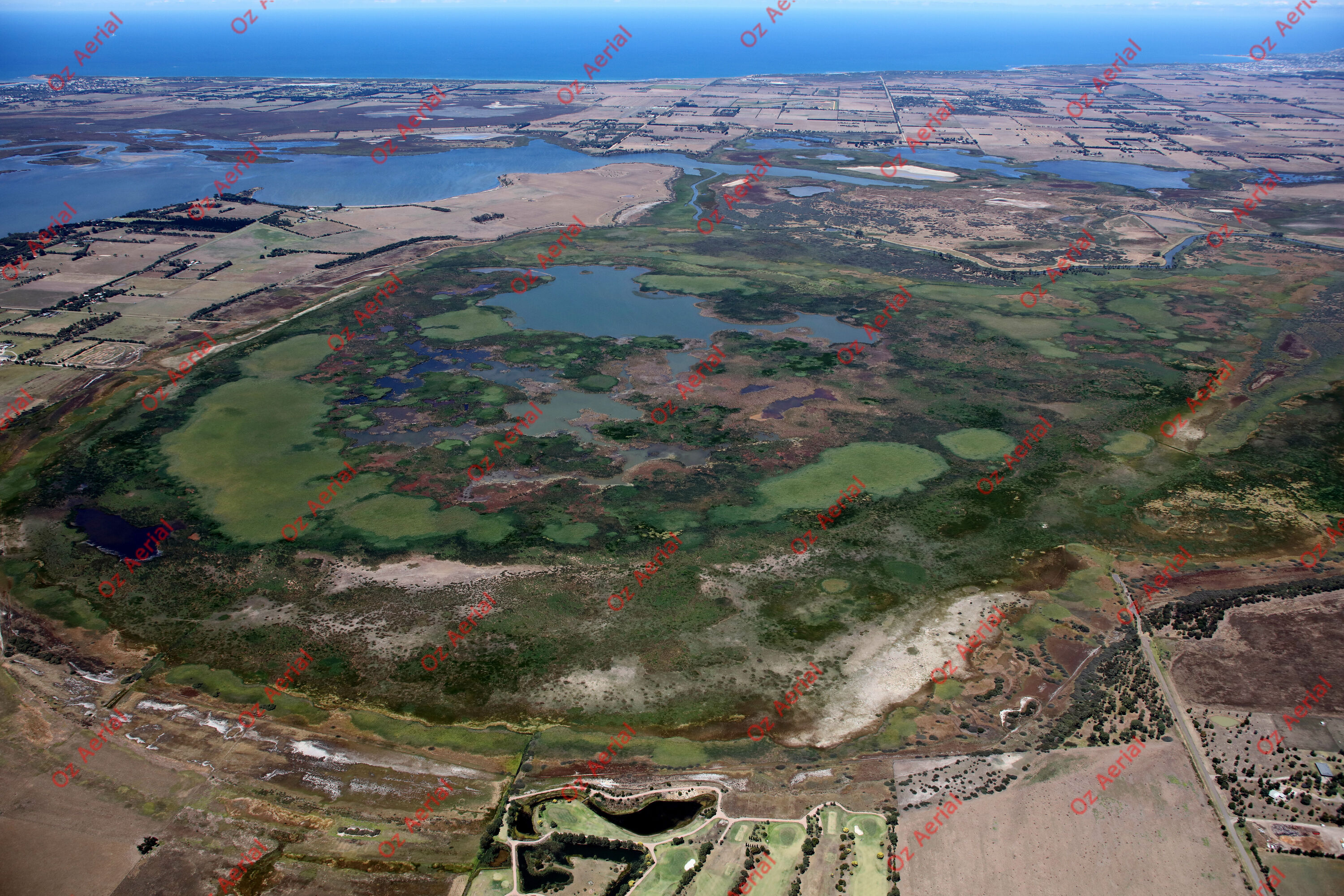 Connewarre&nbsp;&nbsp;–&nbsp;&nbsp;0P4A3588.JPG