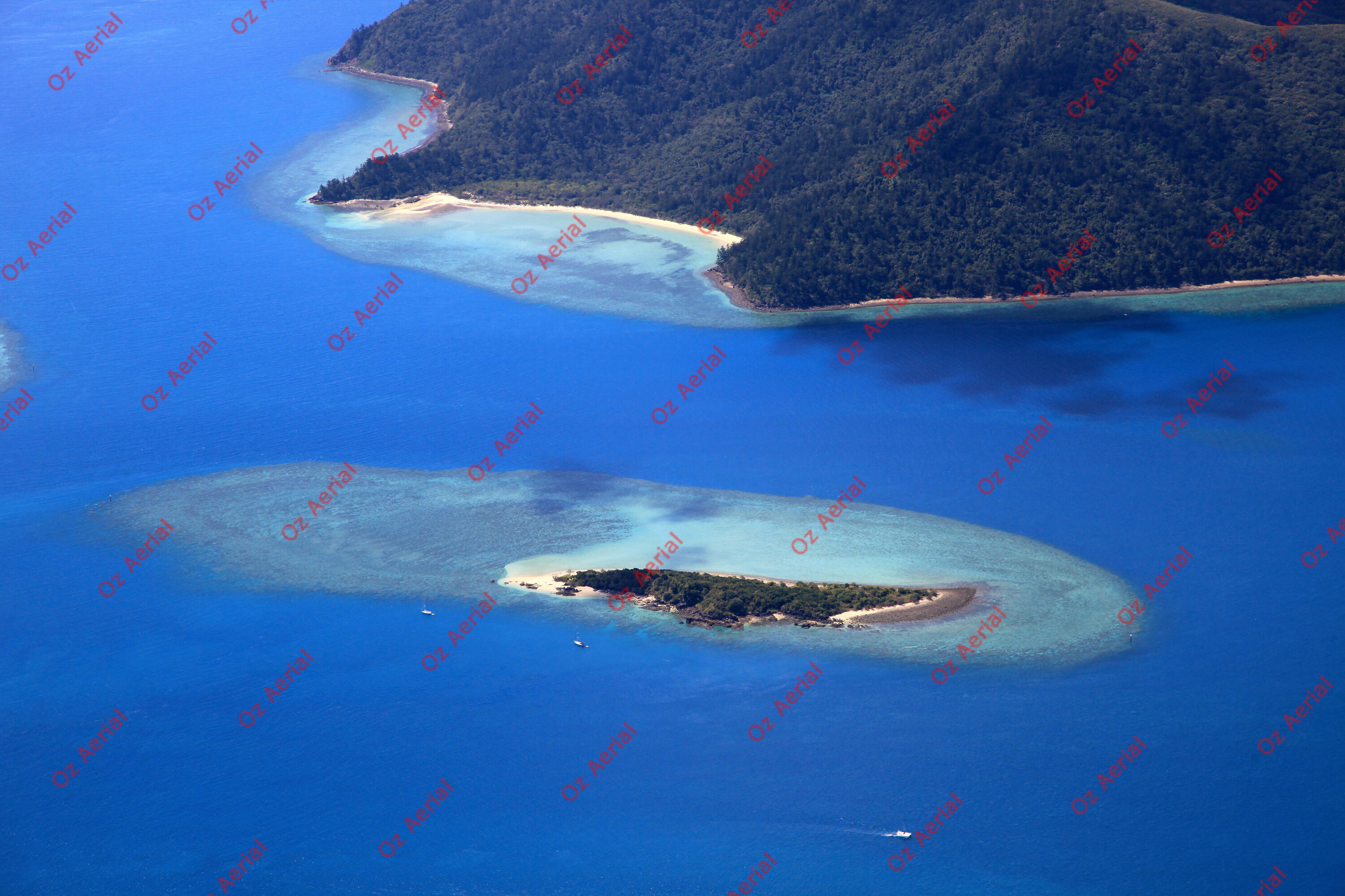 Hook Island&nbsp;&nbsp;–&nbsp;&nbsp;IMG_7115.JPG