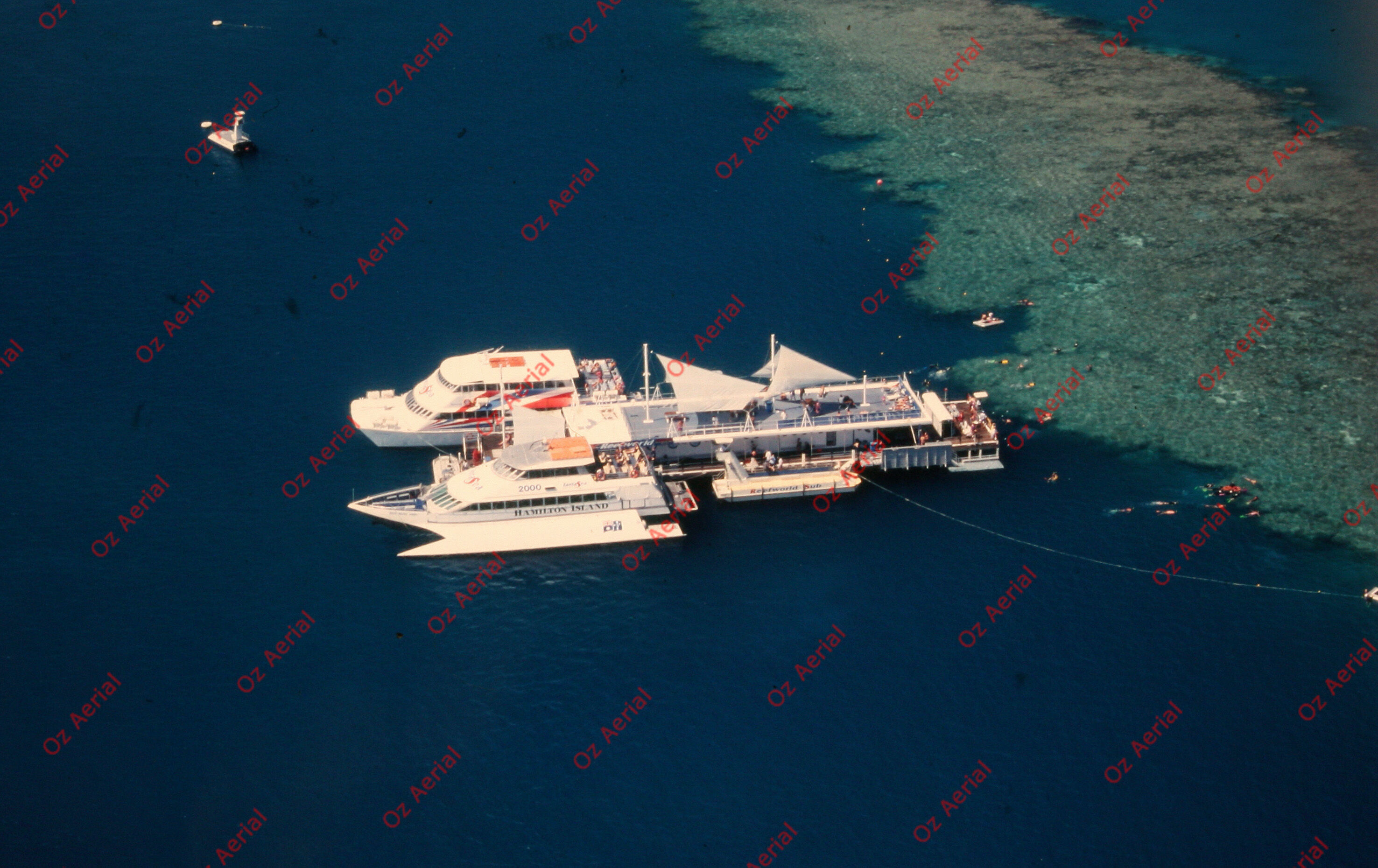 Rainforest to Reef&nbsp;&nbsp;–&nbsp;&nbsp;6095e0dc90dac_i82.JPG