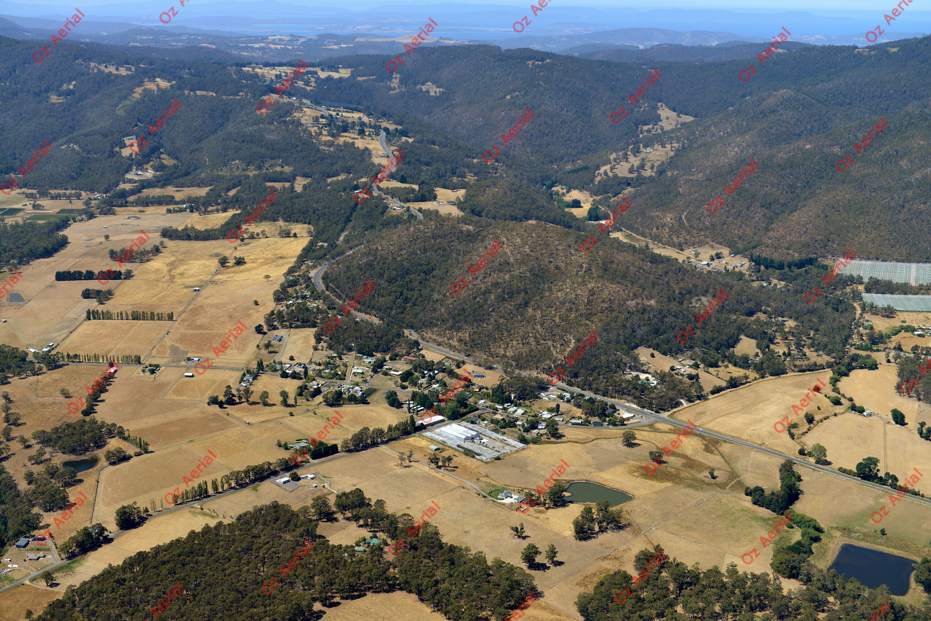 Grove&nbsp;&nbsp;–&nbsp;&nbsp;DSC_4571.JPG