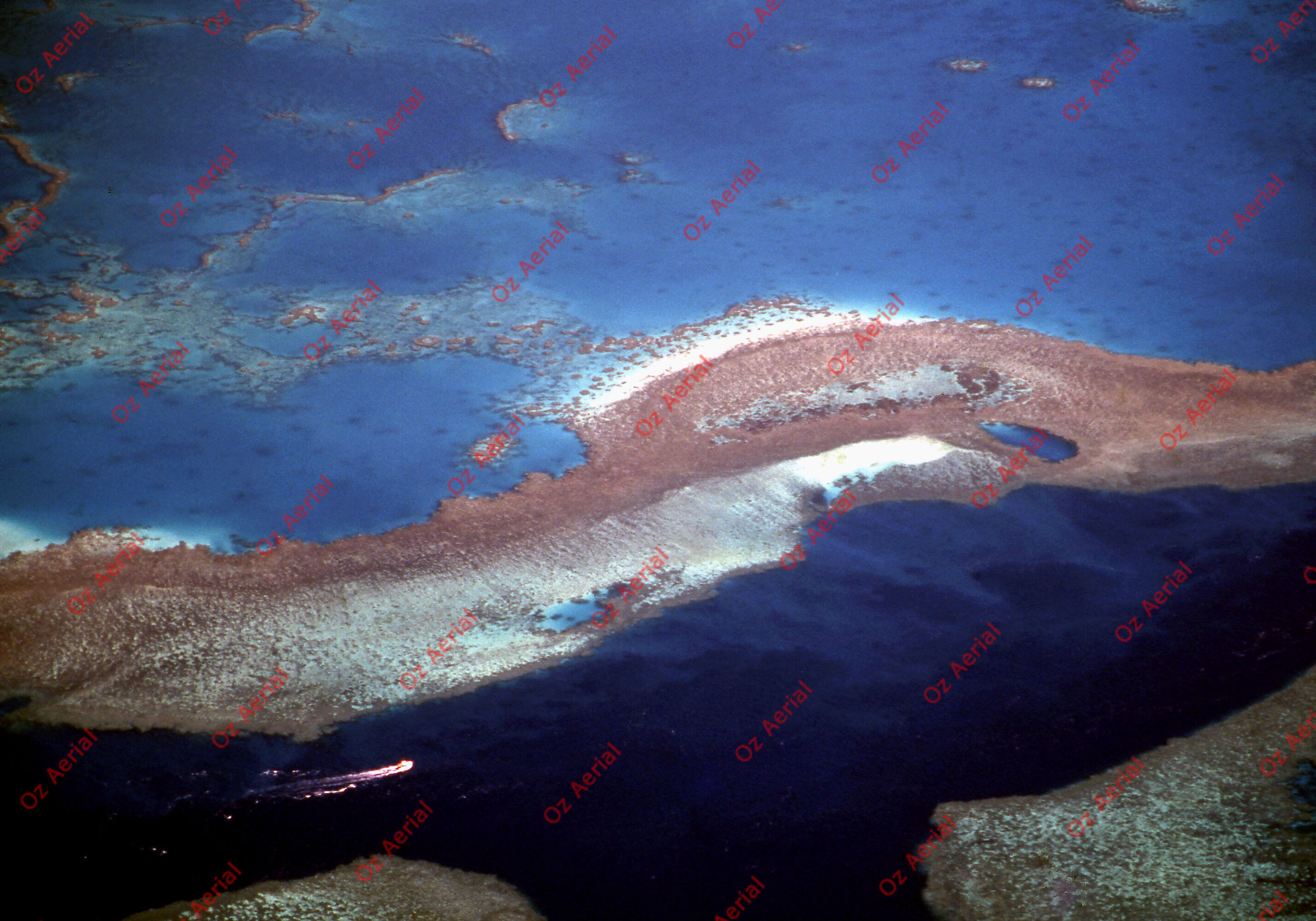 Rainforest to Reef&nbsp;&nbsp;–&nbsp;&nbsp;6095e0d4f0a1c_i73.jpg