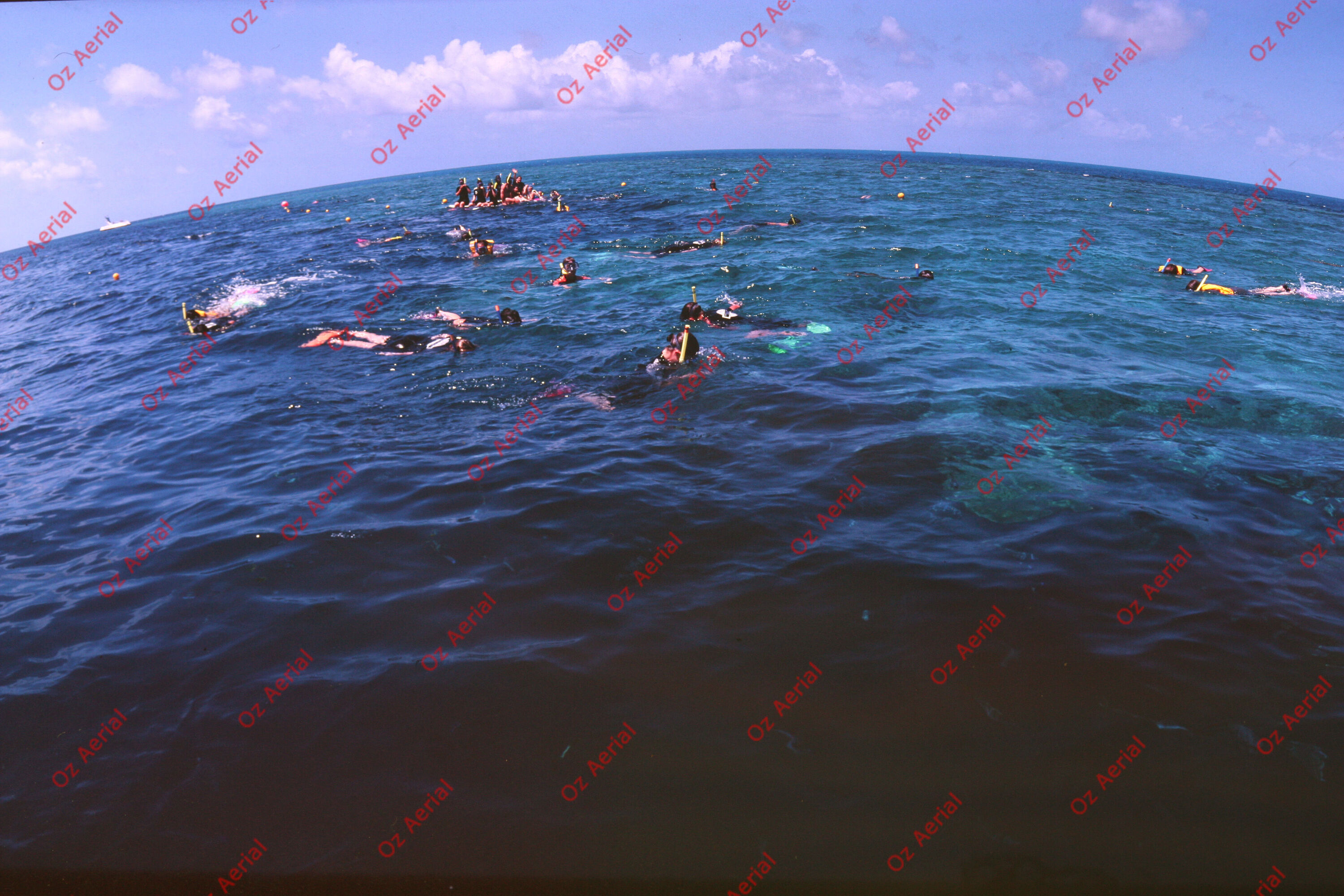 Rainforest to Reef&nbsp;&nbsp;–&nbsp;&nbsp;6095e0e6f2034_i90.JPG