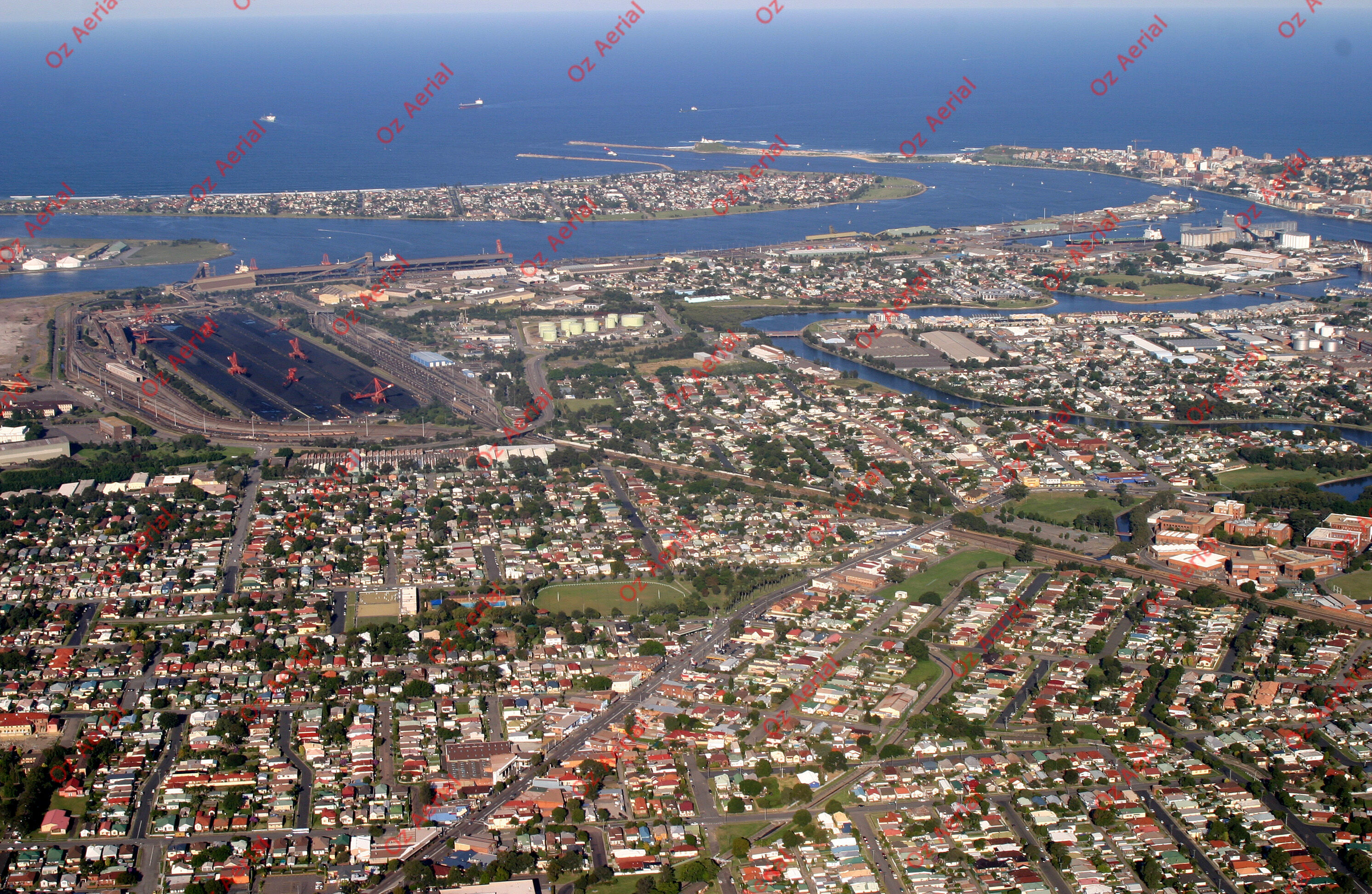 Waratah&nbsp;&nbsp;–&nbsp;&nbsp;256_5639.jpg