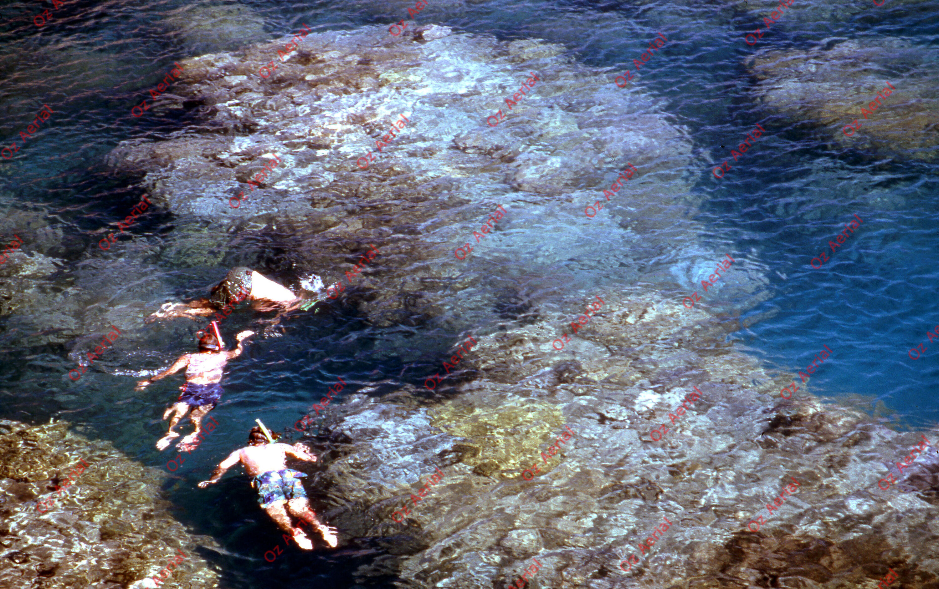 Something Fishy&nbsp;&nbsp;–&nbsp;&nbsp;6095ecf08825b_j70.jpg