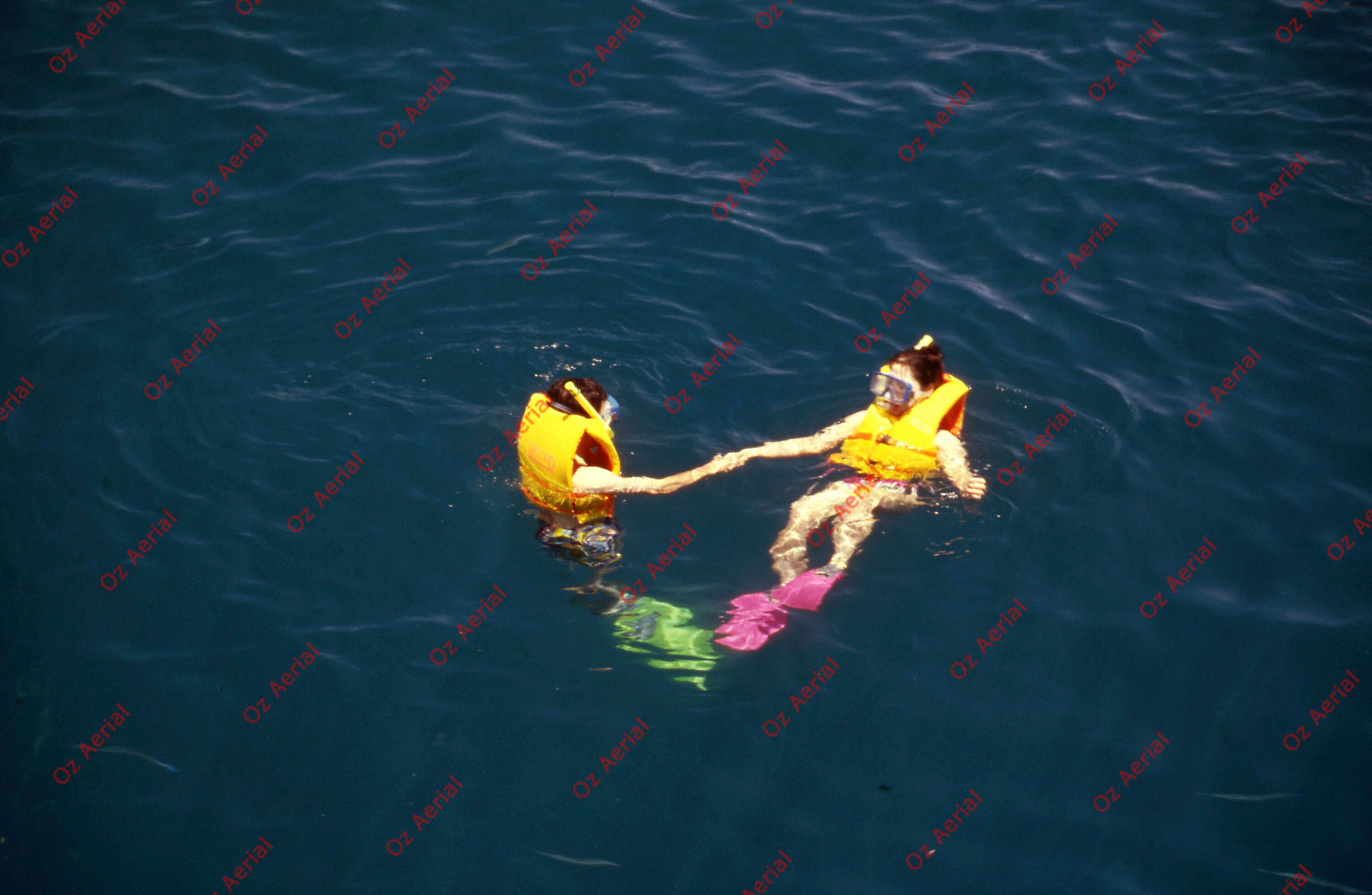 Rainforest to Reef&nbsp;&nbsp;–&nbsp;&nbsp;6095e0ec36b75_i96.jpg