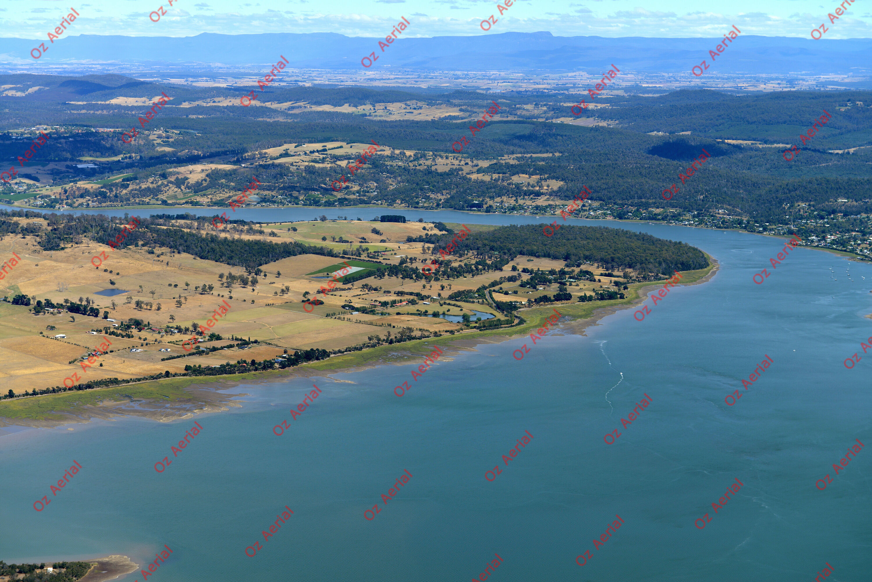 Swan Bay&nbsp;&nbsp;–&nbsp;&nbsp;DSC_3940.JPG