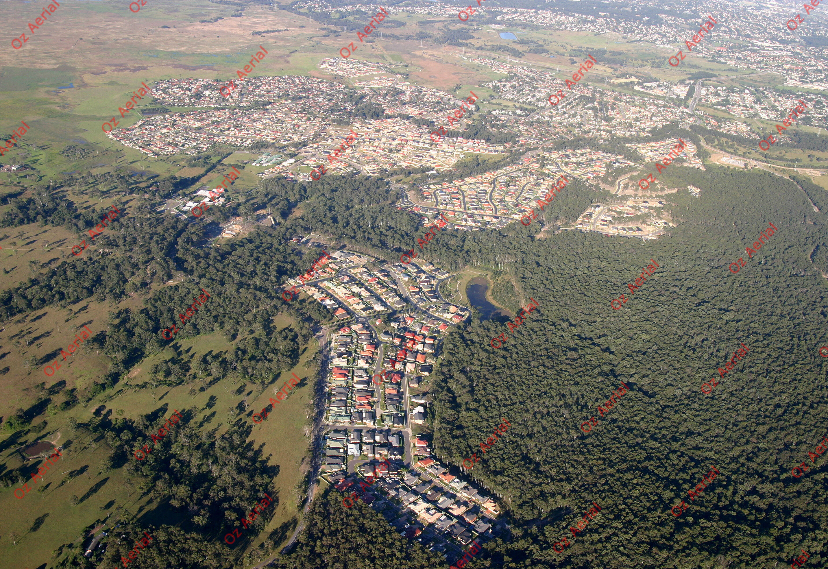 Shortland&nbsp;&nbsp;–&nbsp;&nbsp;257_5728.jpg