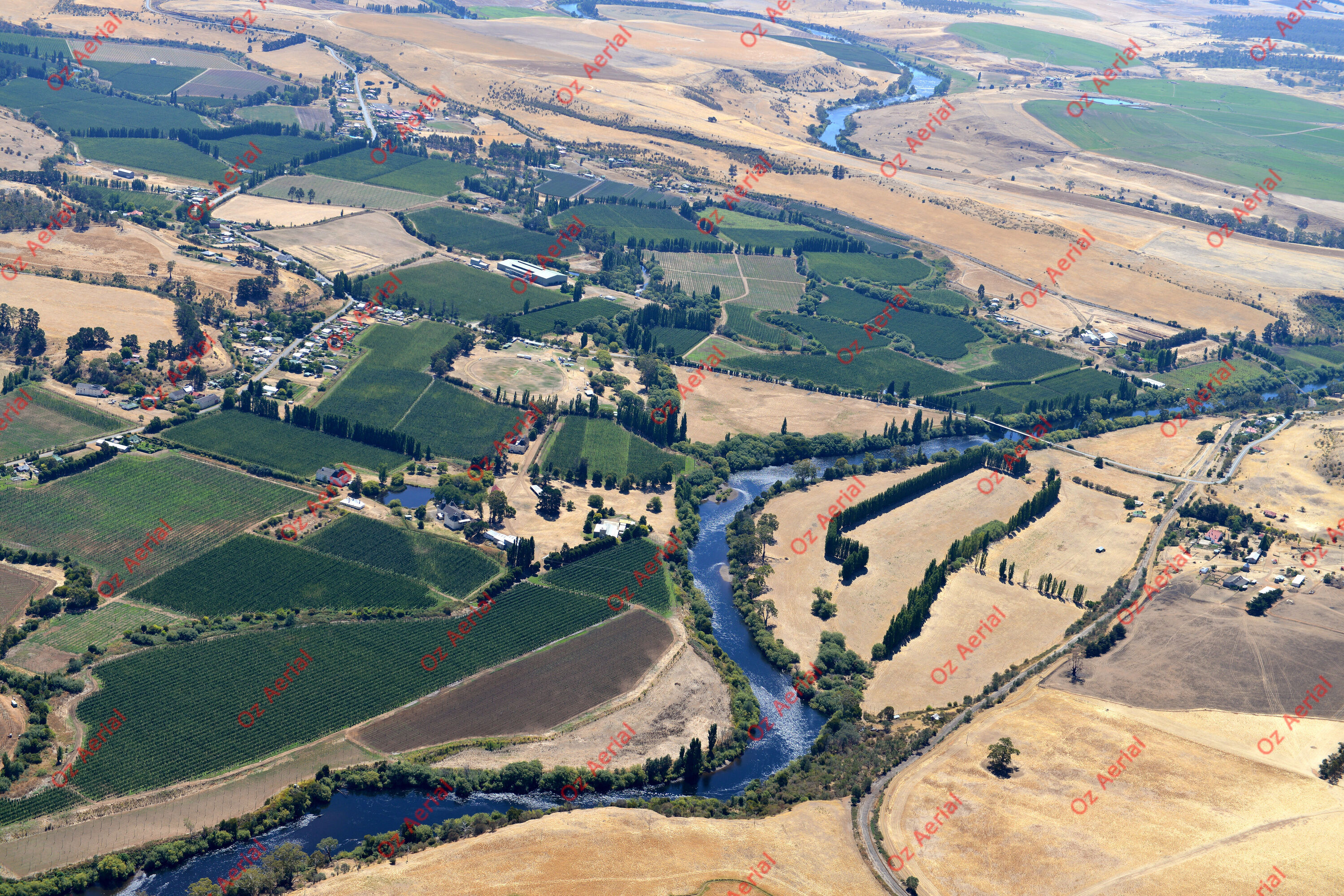 Bushy Park&nbsp;&nbsp;–&nbsp;&nbsp;DSC_4669.JPG