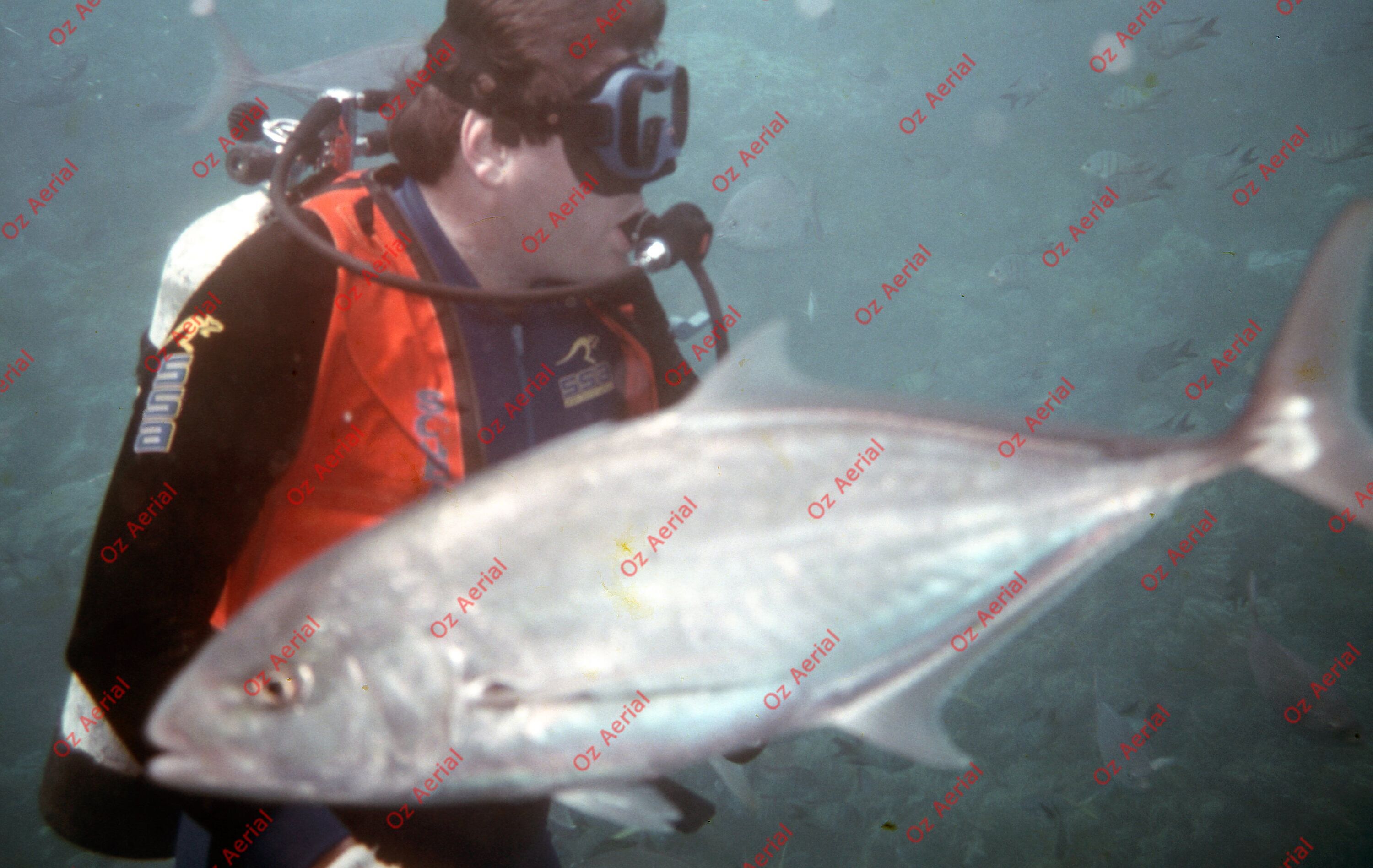 Something Fishy&nbsp;&nbsp;–&nbsp;&nbsp;6095ecbbb3da9_j17.jpg