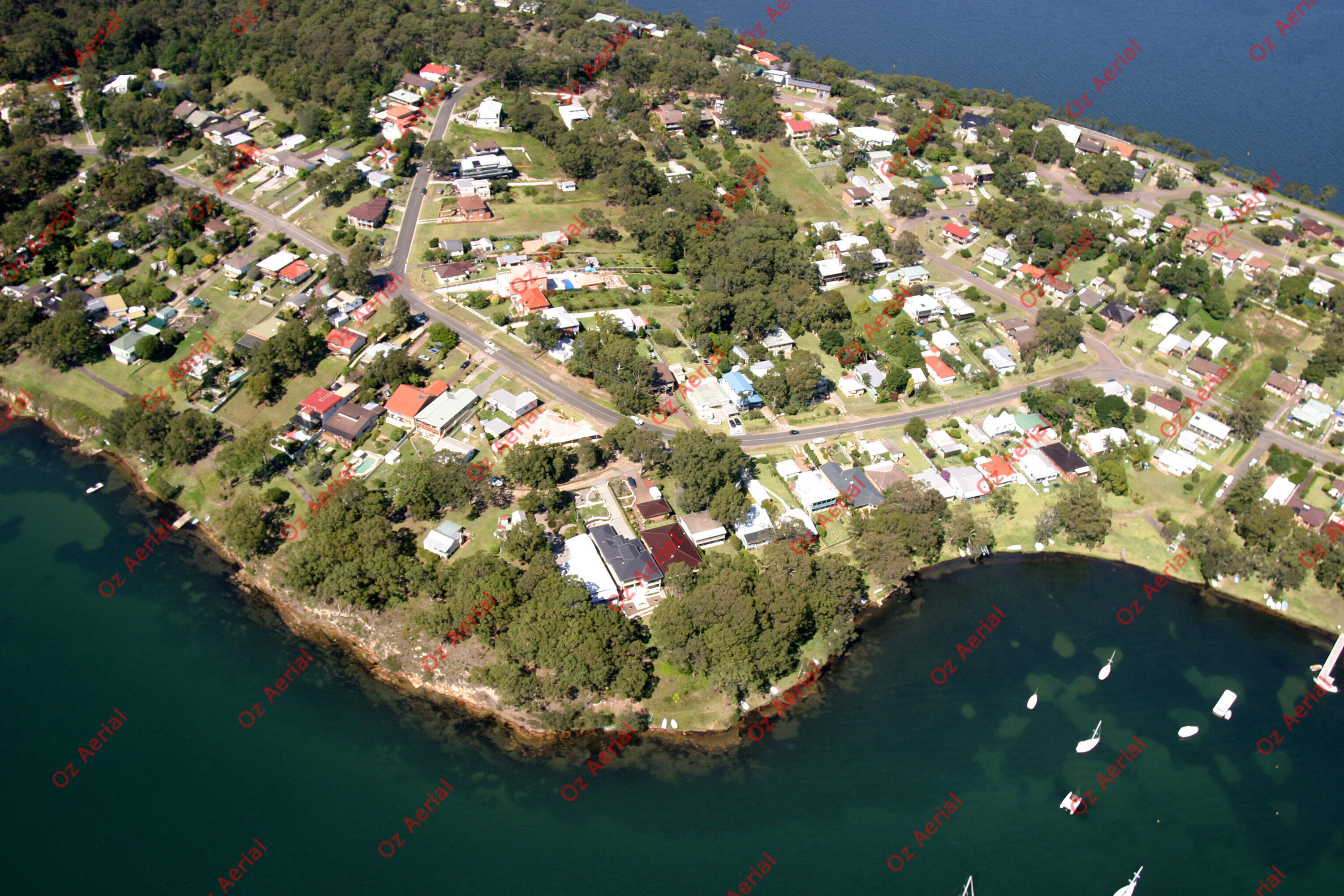 Wangi Wangi&nbsp;&nbsp;–&nbsp;&nbsp;246_4615.jpg