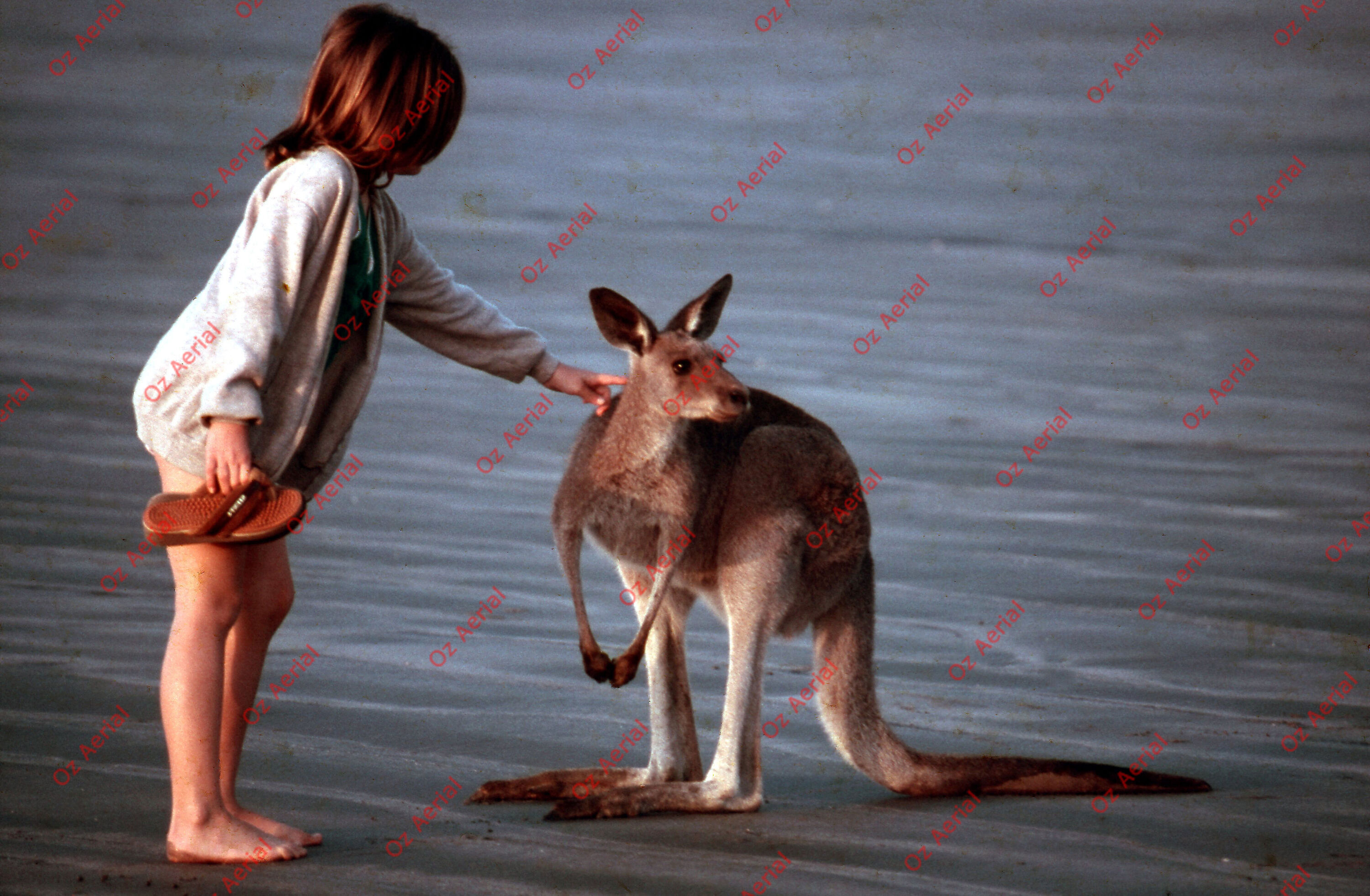 Airlie Beach&nbsp;&nbsp;–&nbsp;&nbsp;6094b7197760b_a23.jpg