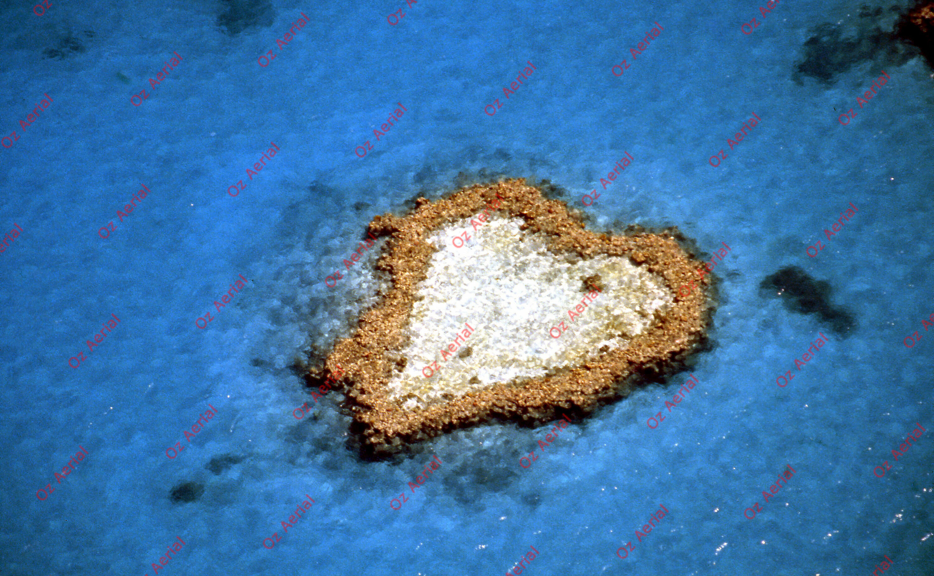 Rainforest to Reef&nbsp;&nbsp;–&nbsp;&nbsp;6095e0d46329e_i71.jpg