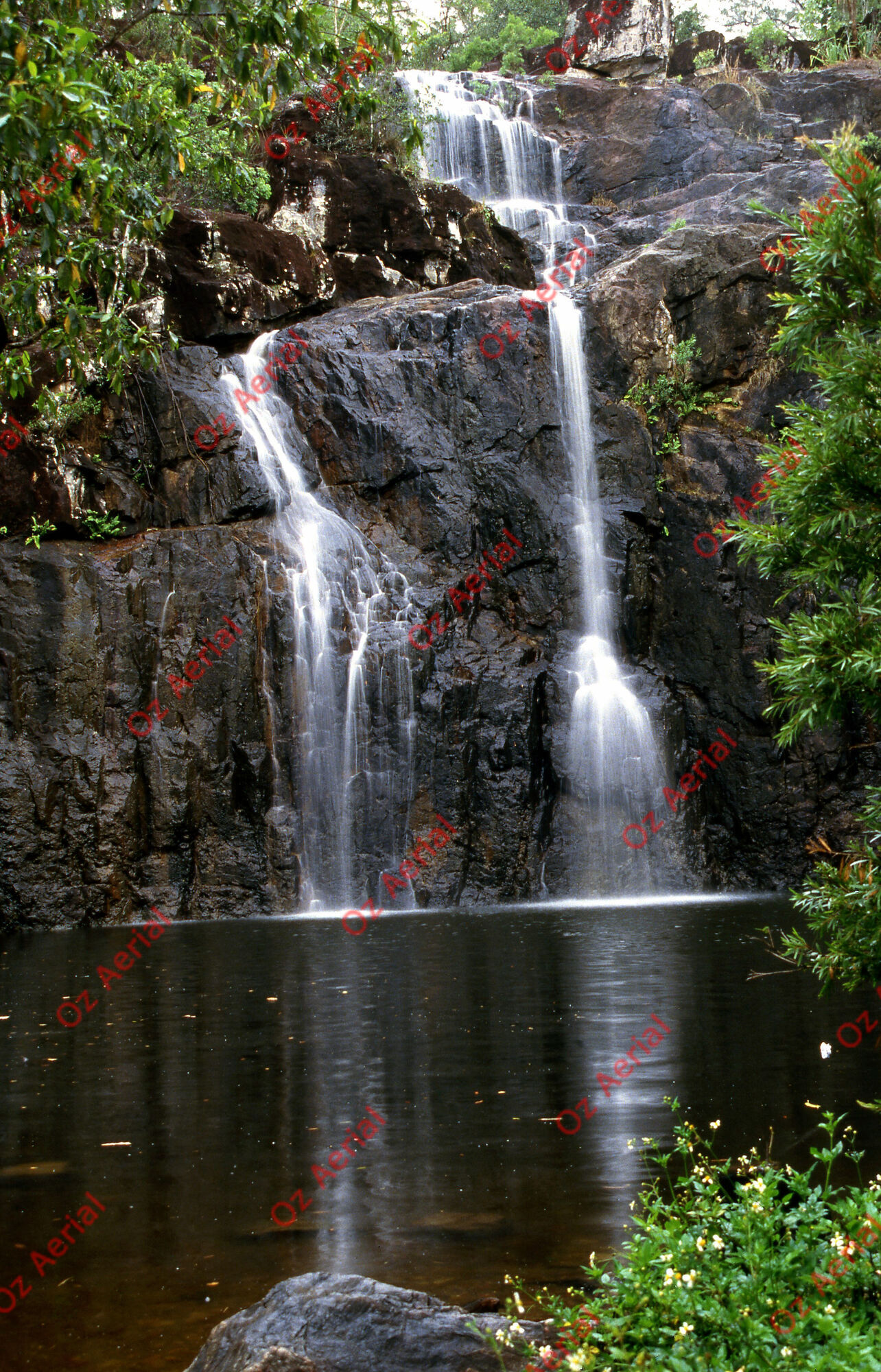 Rainforest to Reef&nbsp;&nbsp;–&nbsp;&nbsp;6095e09c62e12_i22.jpg