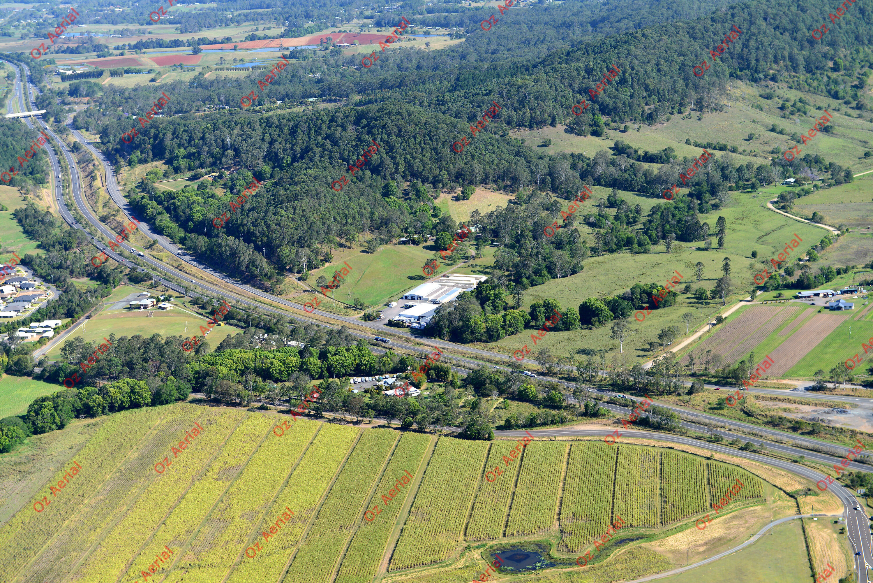 Eerwah Vale&nbsp;&nbsp;–&nbsp;&nbsp;DSC_0525.JPG