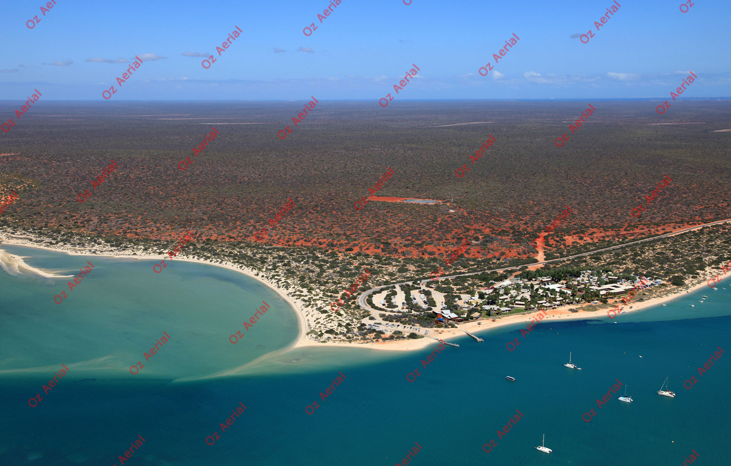 Monkey Mia&nbsp;&nbsp;–&nbsp;&nbsp;IMG_2229.JPG