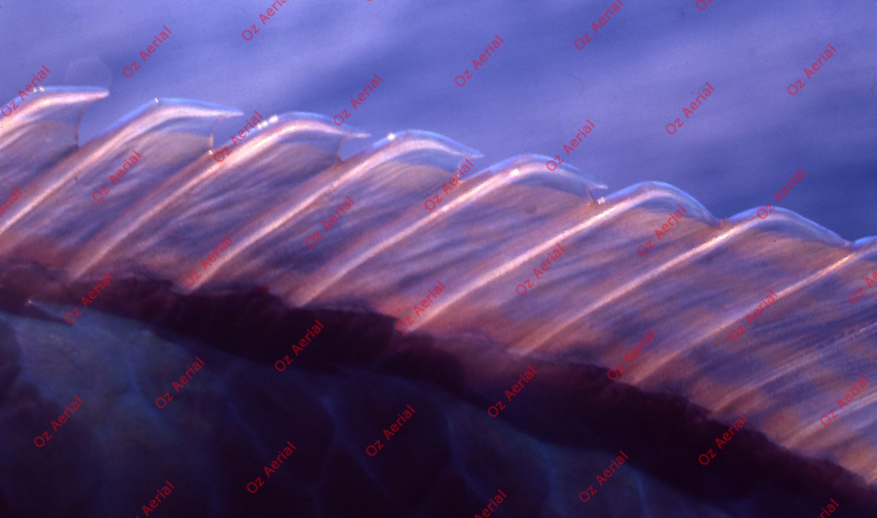 Something Fishy&nbsp;&nbsp;–&nbsp;&nbsp;6095ecfe433d9_j97.jpg