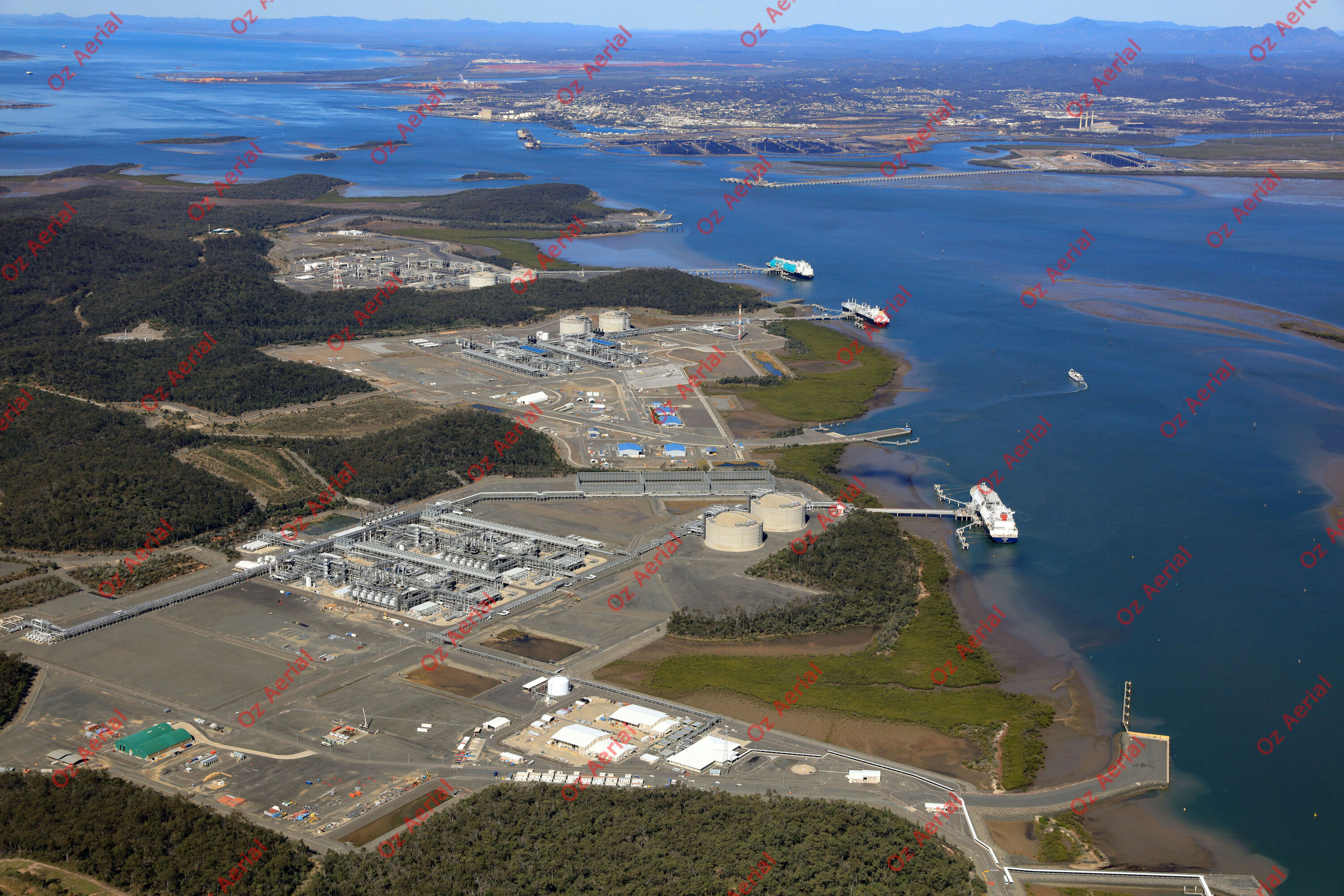 Curtis Island&nbsp;&nbsp;–&nbsp;&nbsp;62ff1c014f1c2_IMGL0941.JPG