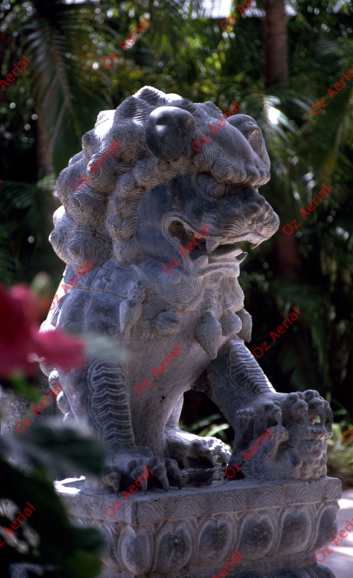 Island Resorts&nbsp;&nbsp;–&nbsp;&nbsp;6094e39175746_e12.jpg