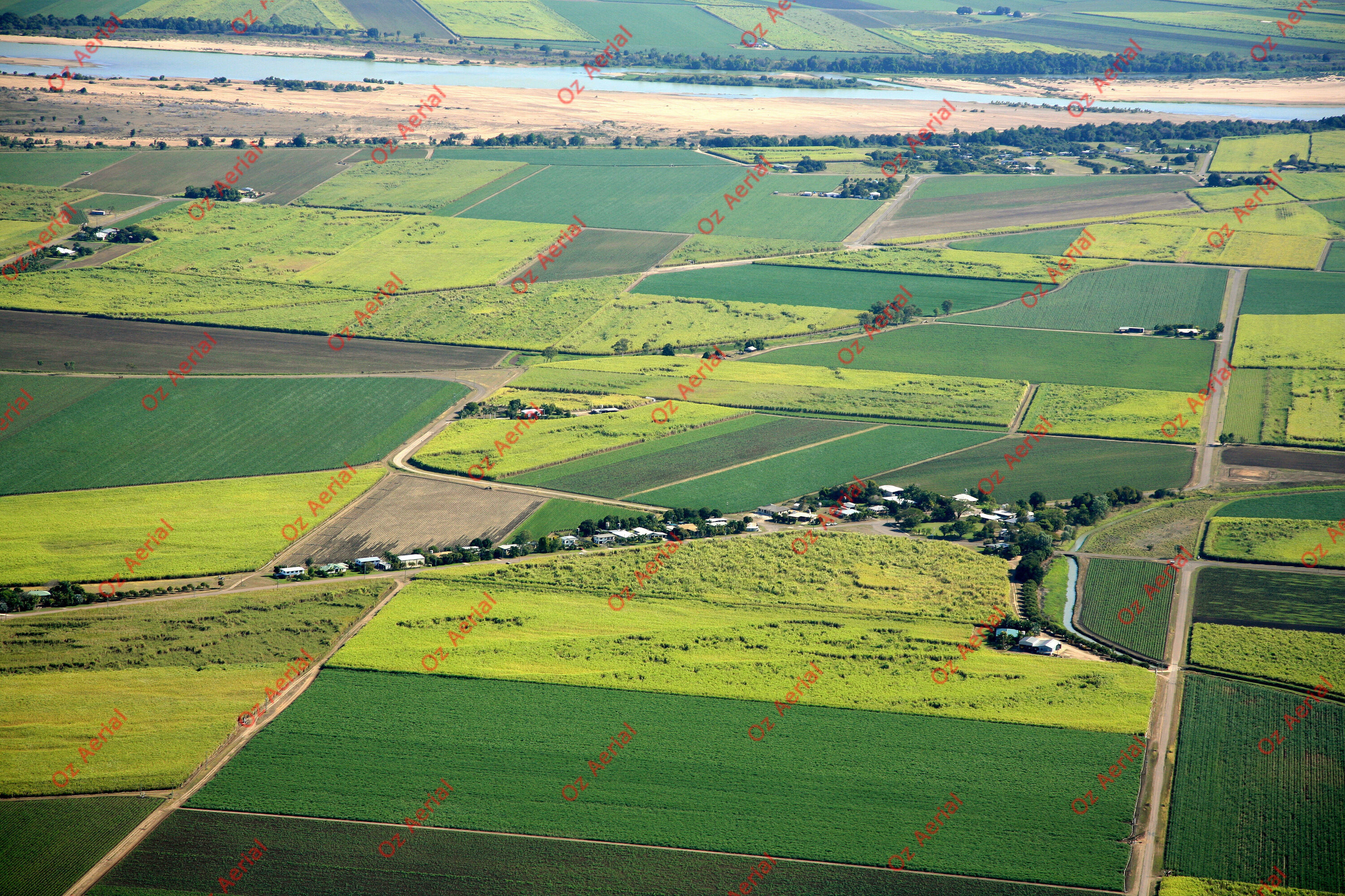 Jarvsfield  –  IMG_8490.JPG