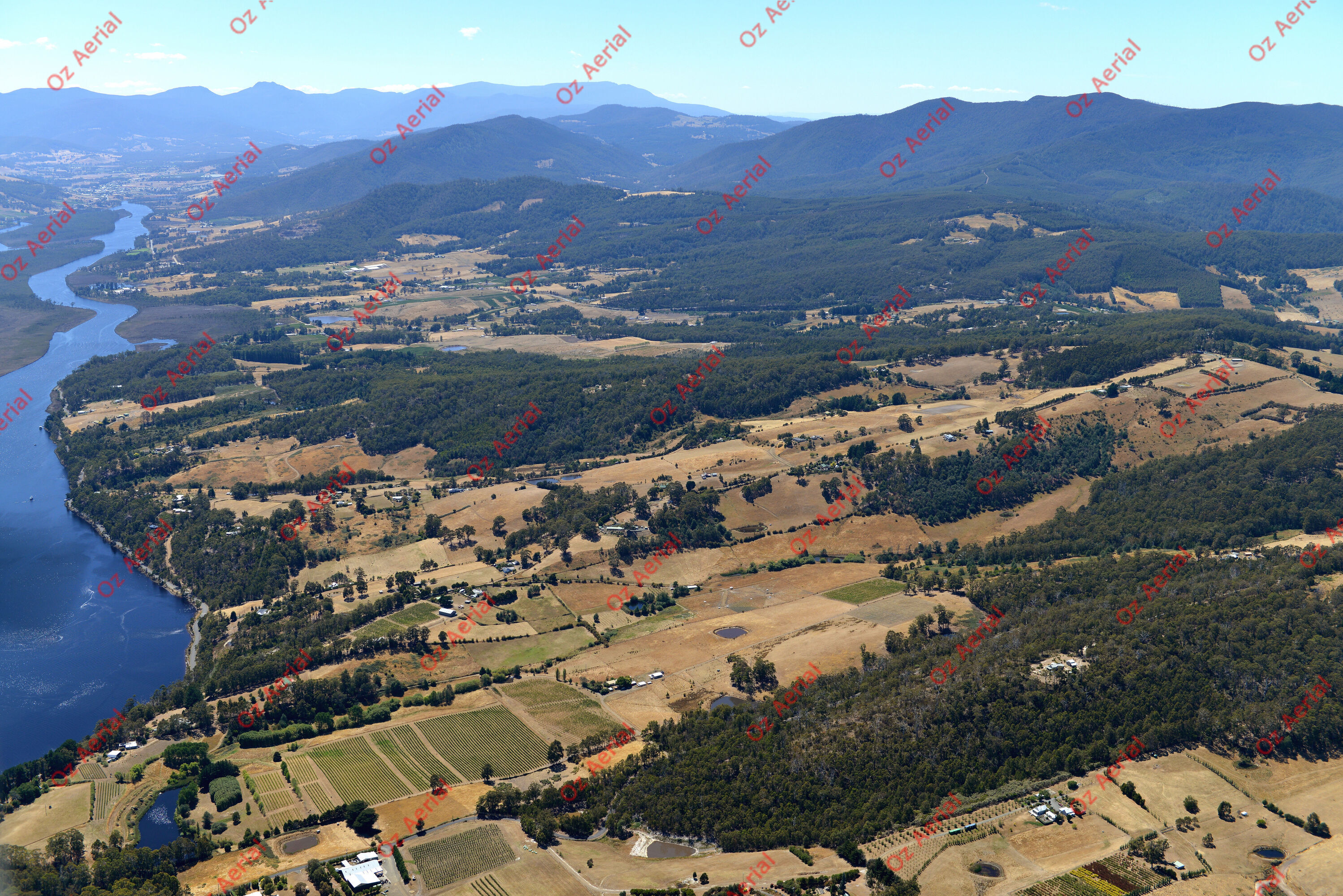 Wattle Grove&nbsp;&nbsp;–&nbsp;&nbsp;DSC_4456.JPG
