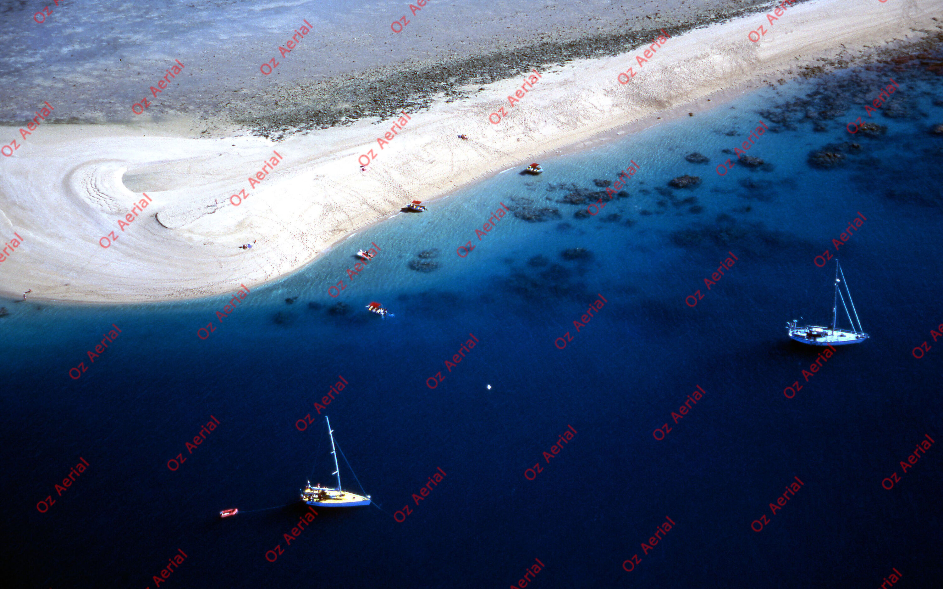 Rainforest to Reef&nbsp;&nbsp;–&nbsp;&nbsp;6095e0efd79d5_i98.jpg