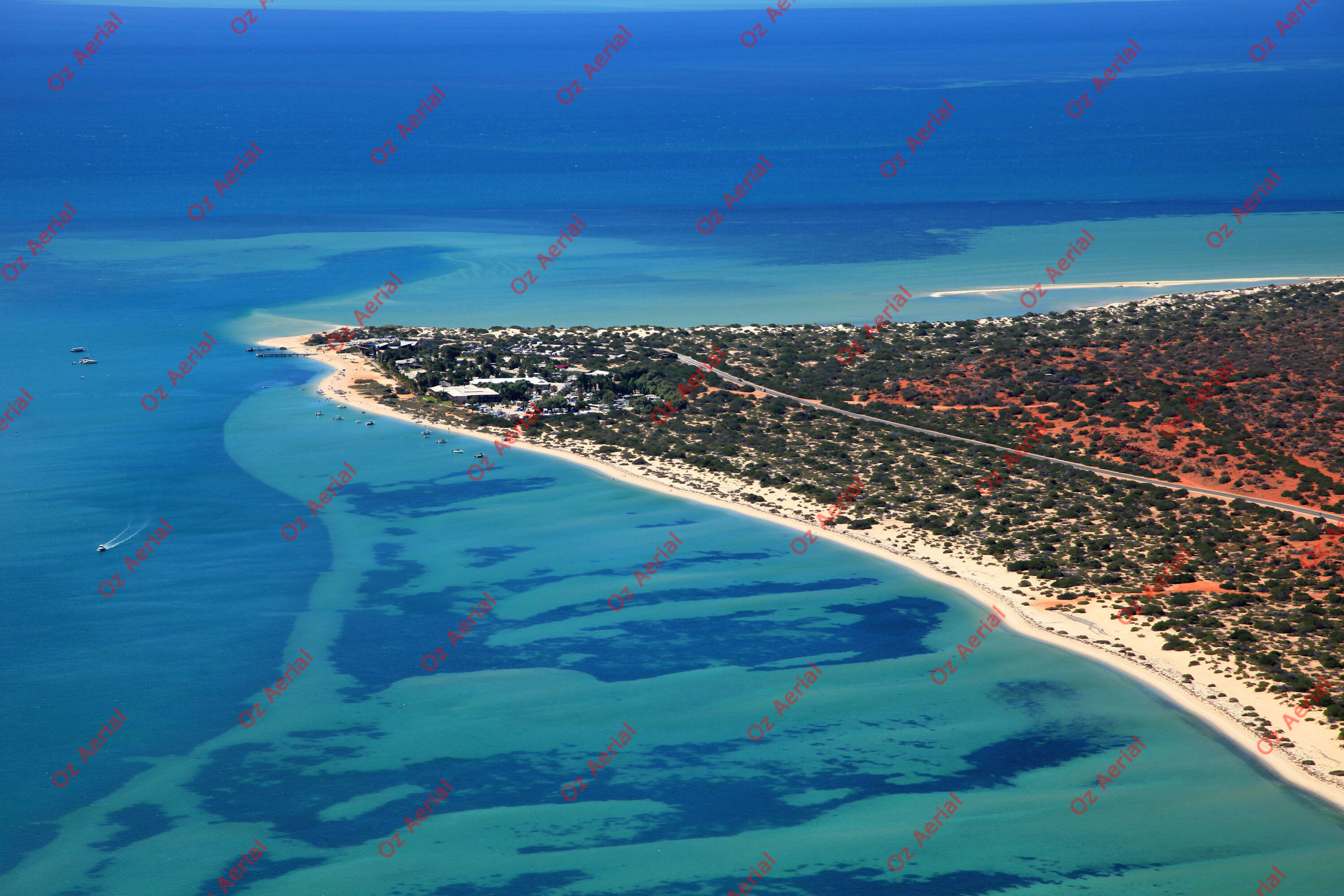 Monkey Mia&nbsp;&nbsp;–&nbsp;&nbsp;IMG_2219.JPG