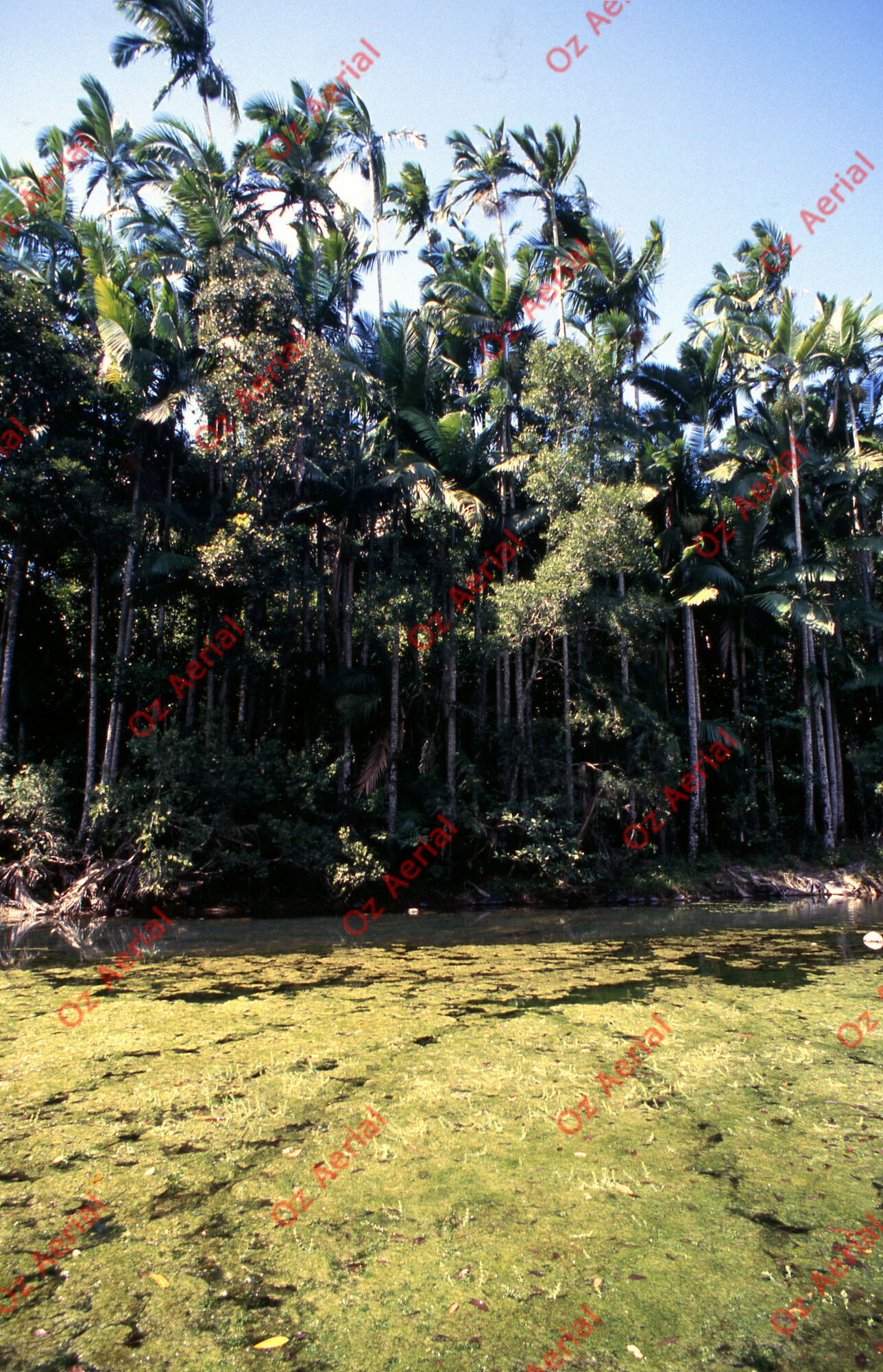 Rainforest to Reef&nbsp;&nbsp;–&nbsp;&nbsp;6095e09859250_i17.jpg