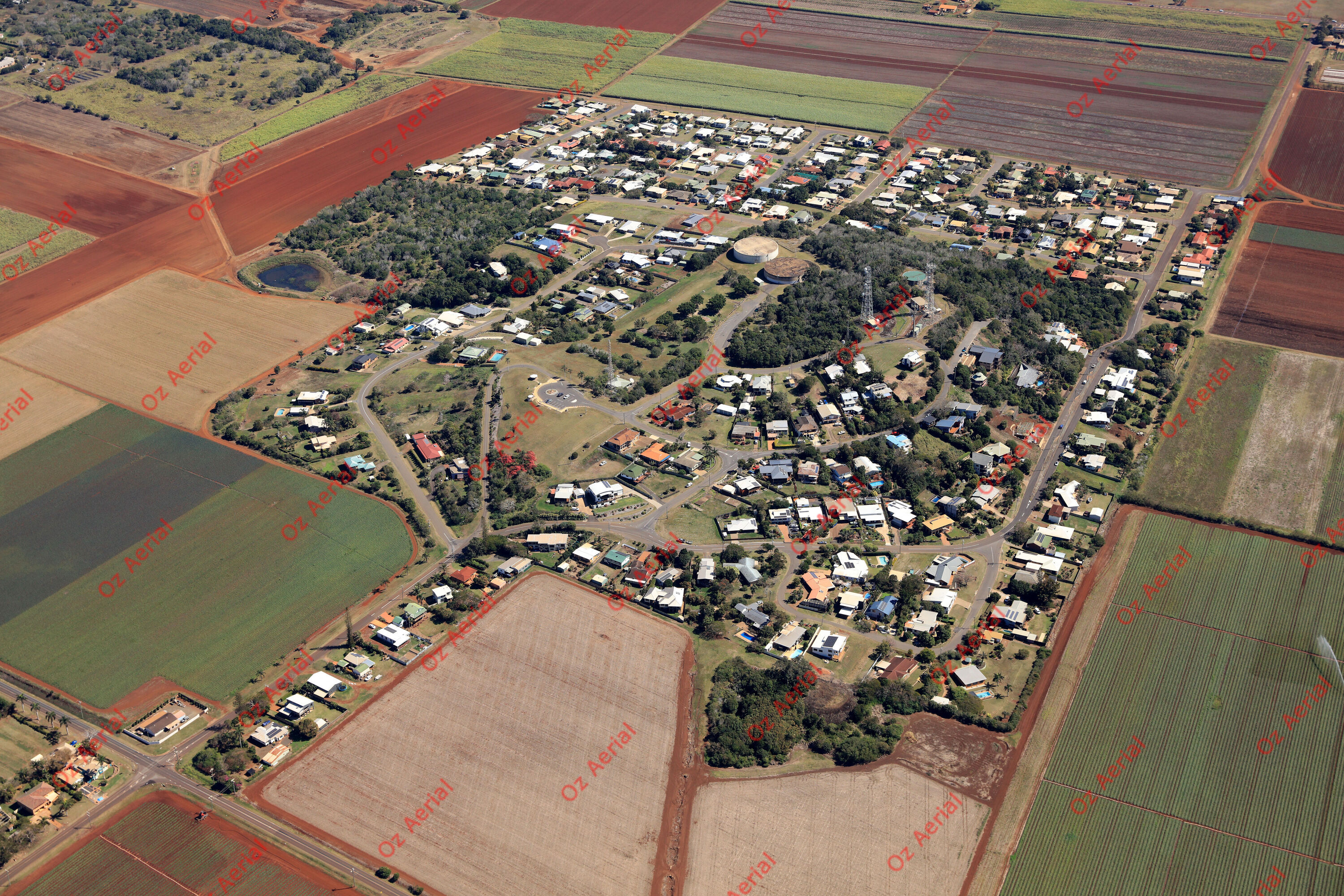 Hummock Hill&nbsp;&nbsp;–&nbsp;&nbsp;61258fa7847ac_IMGL0287.JPG