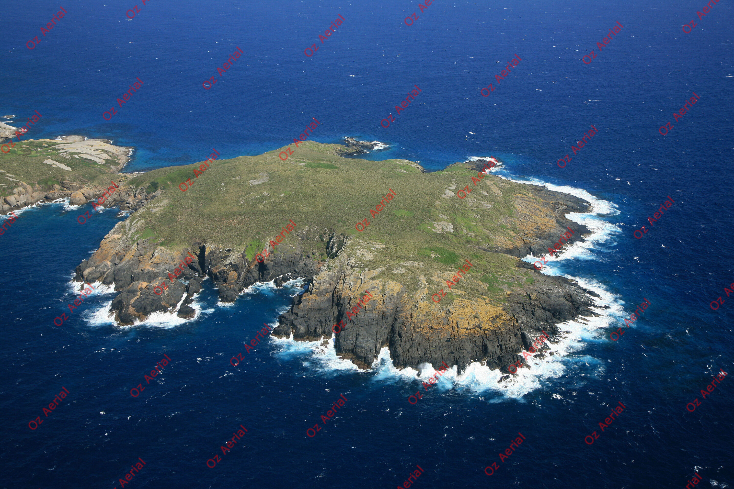 Montague Island&nbsp;&nbsp;–&nbsp;&nbsp;IMG_9815.JPG