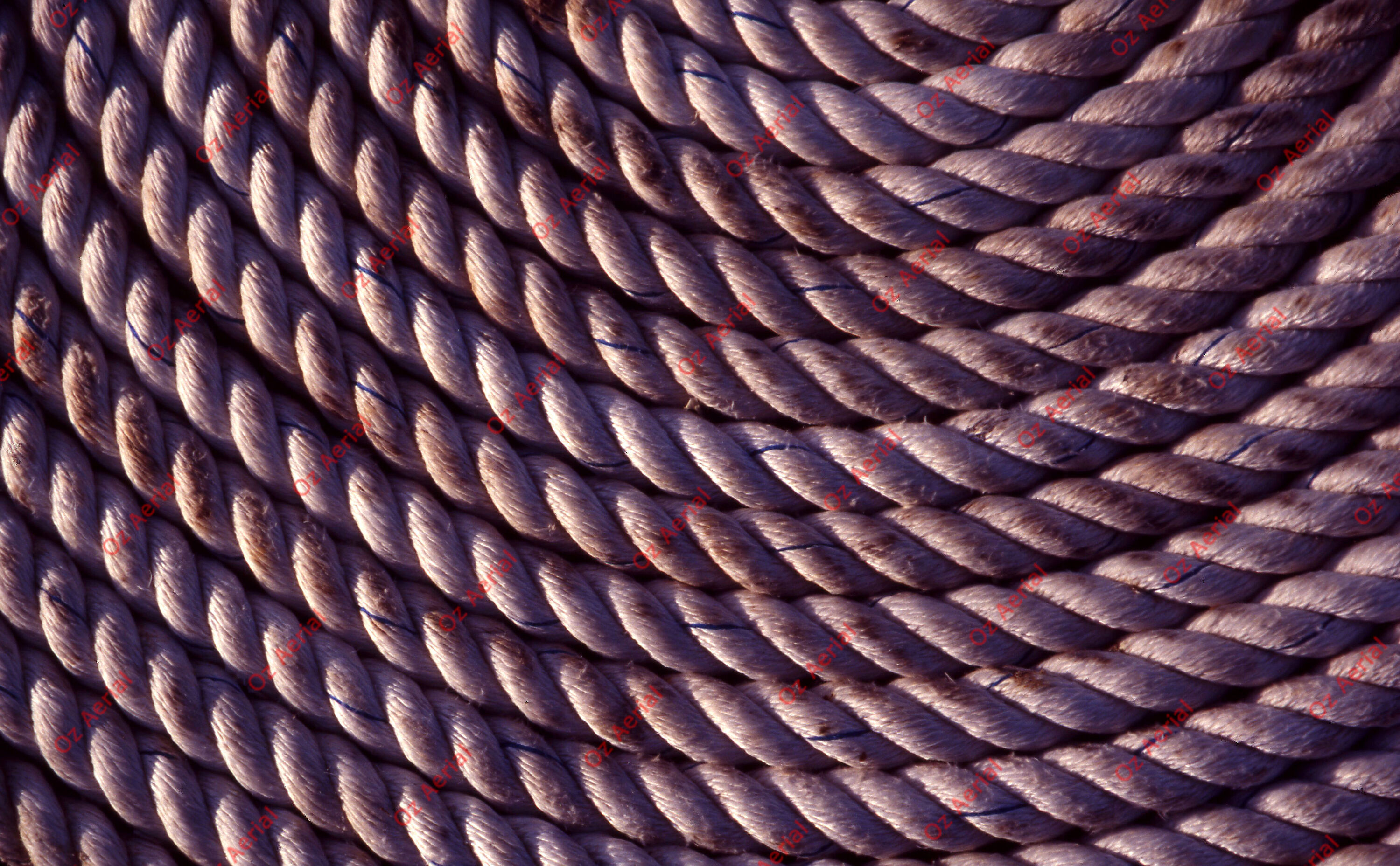 Something Fishy&nbsp;&nbsp;–&nbsp;&nbsp;6095ecd4cb7b8_j42.jpg