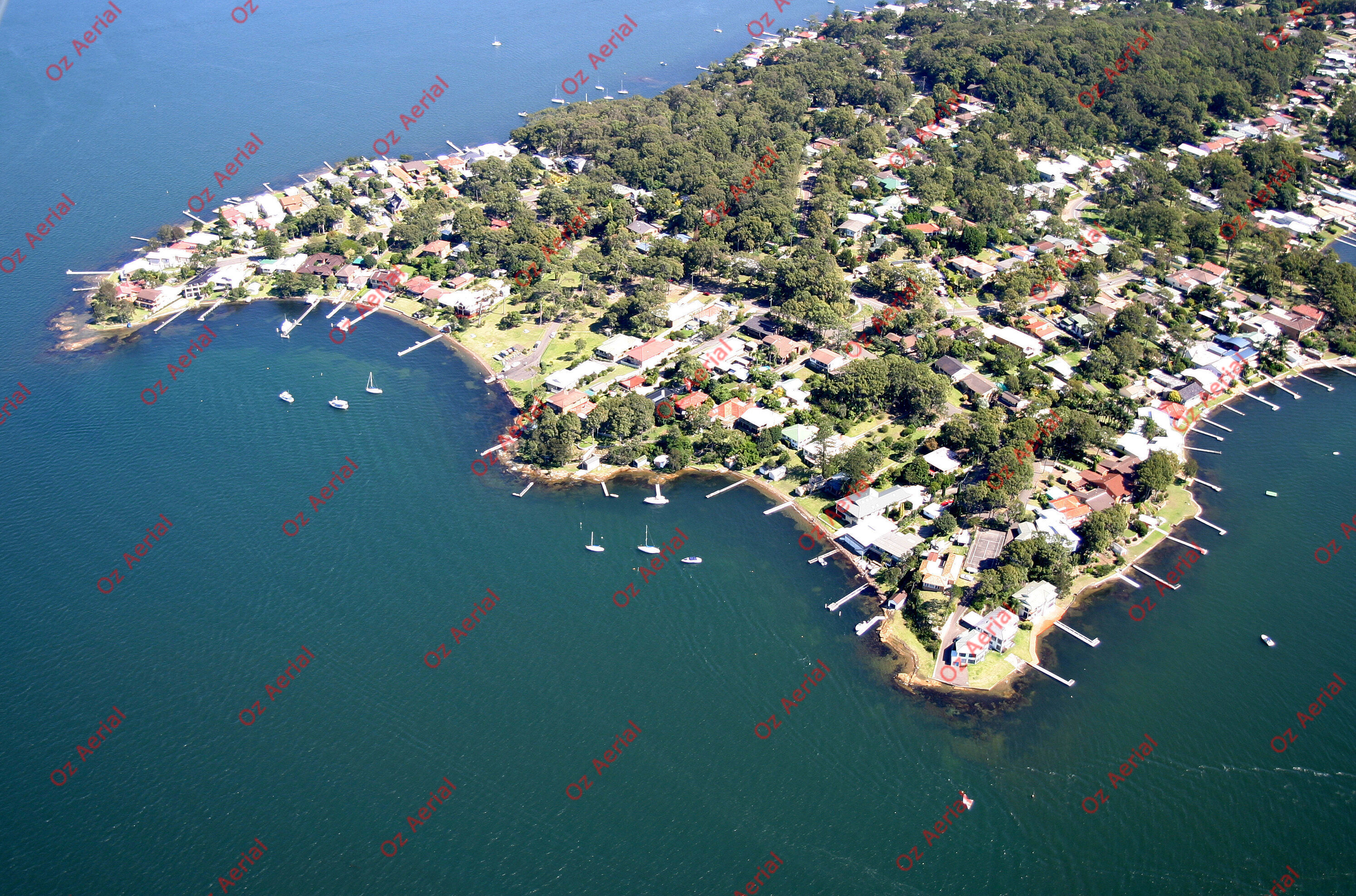 Coal Point&nbsp;&nbsp;–&nbsp;&nbsp;245_4579.jpg