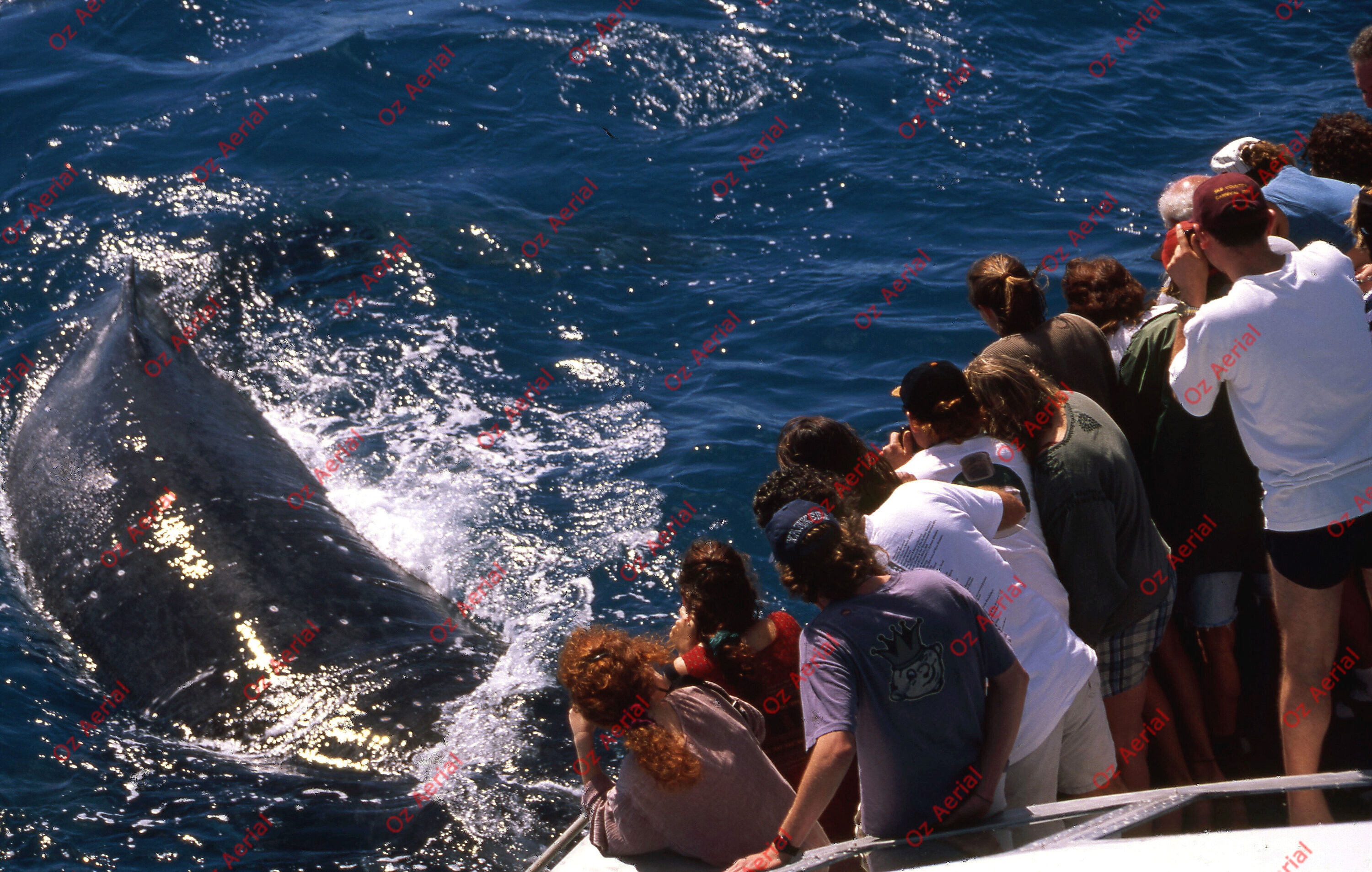 On The Water&nbsp;&nbsp;–&nbsp;&nbsp;6094e25c7ca73_c48.jpg