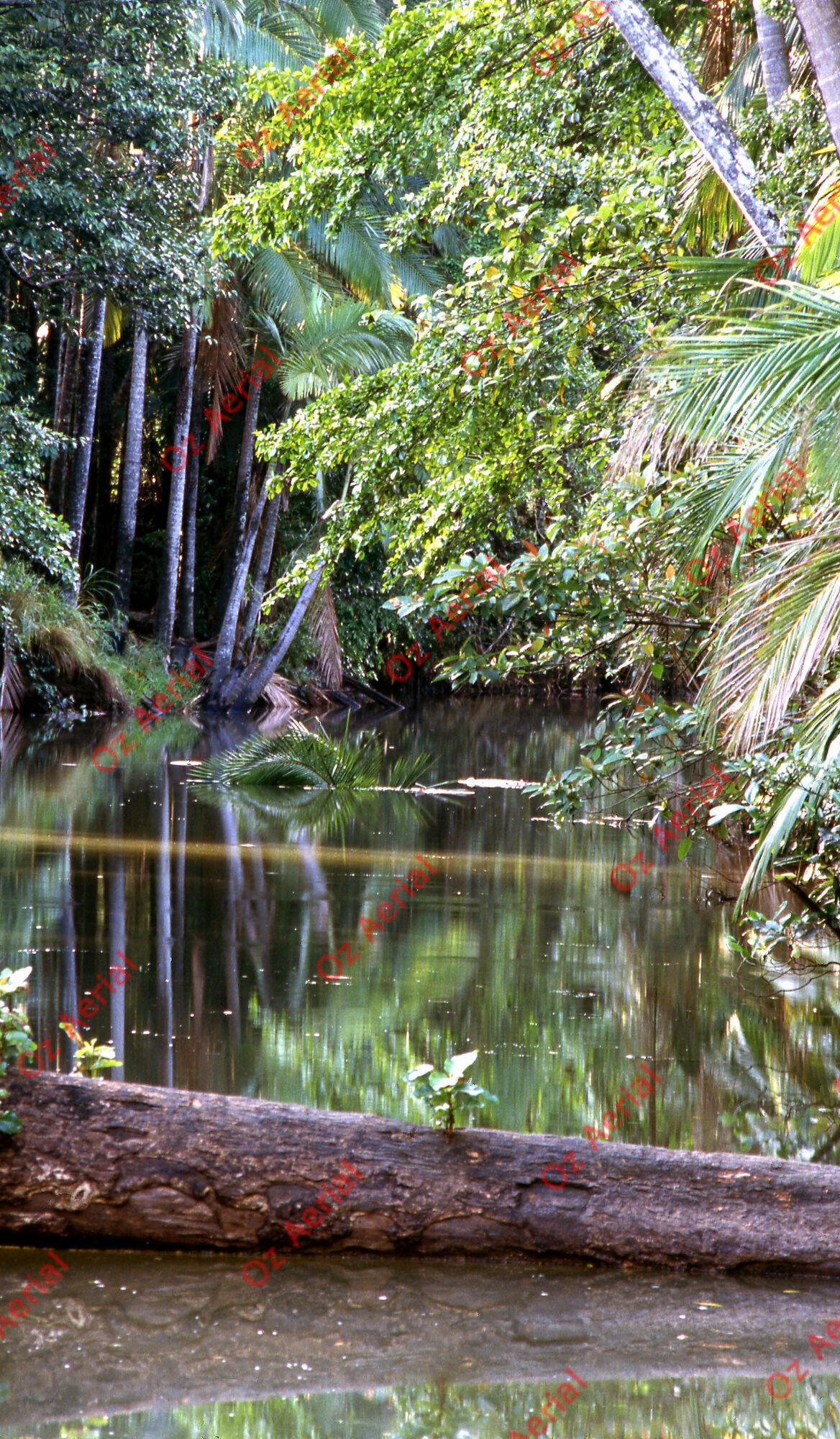 Rainforest to Reef&nbsp;&nbsp;–&nbsp;&nbsp;6095e09a67e14_i19.jpg