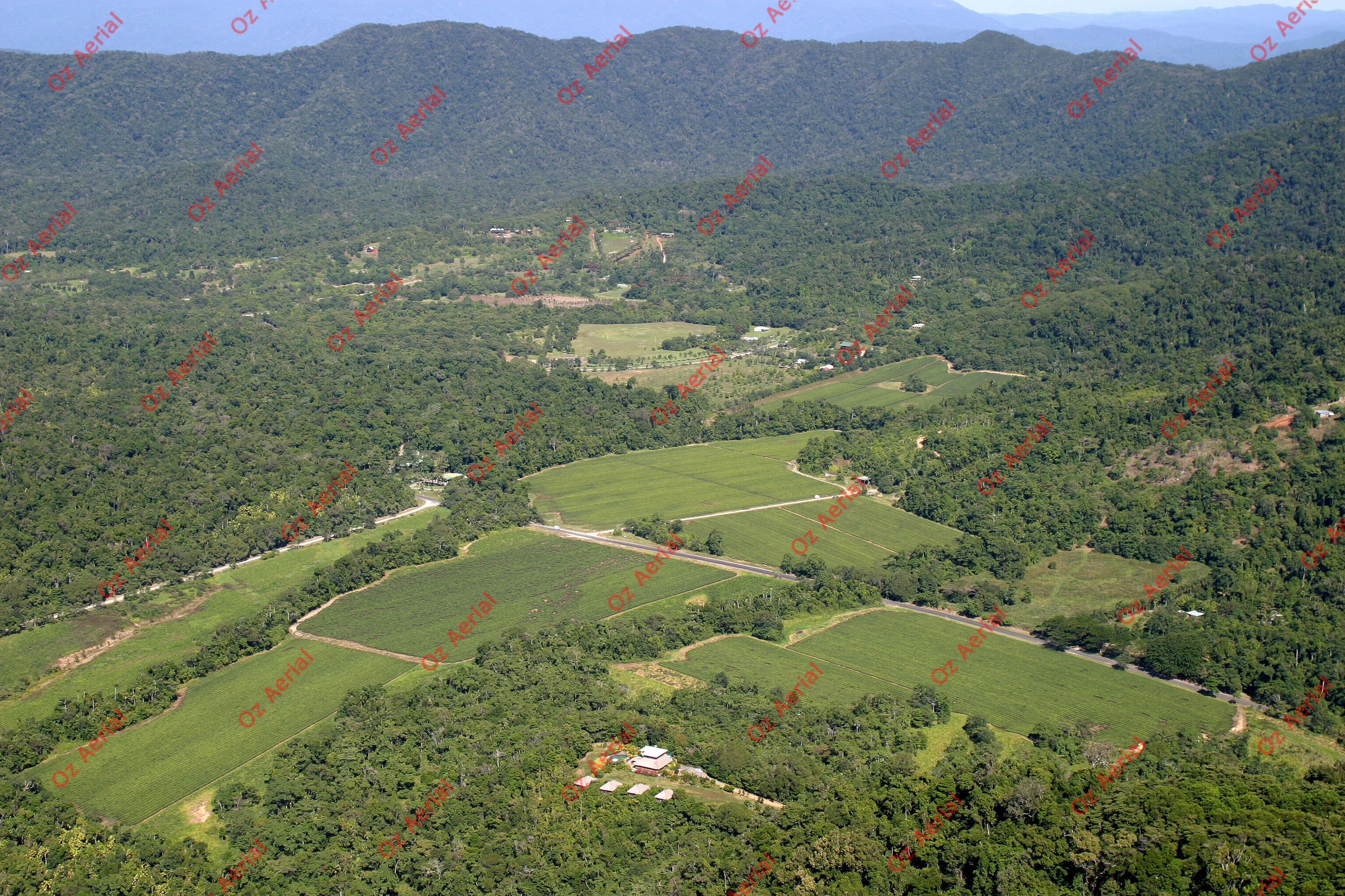 Doyle Creek&nbsp;&nbsp;–&nbsp;&nbsp;194_9441.jpg