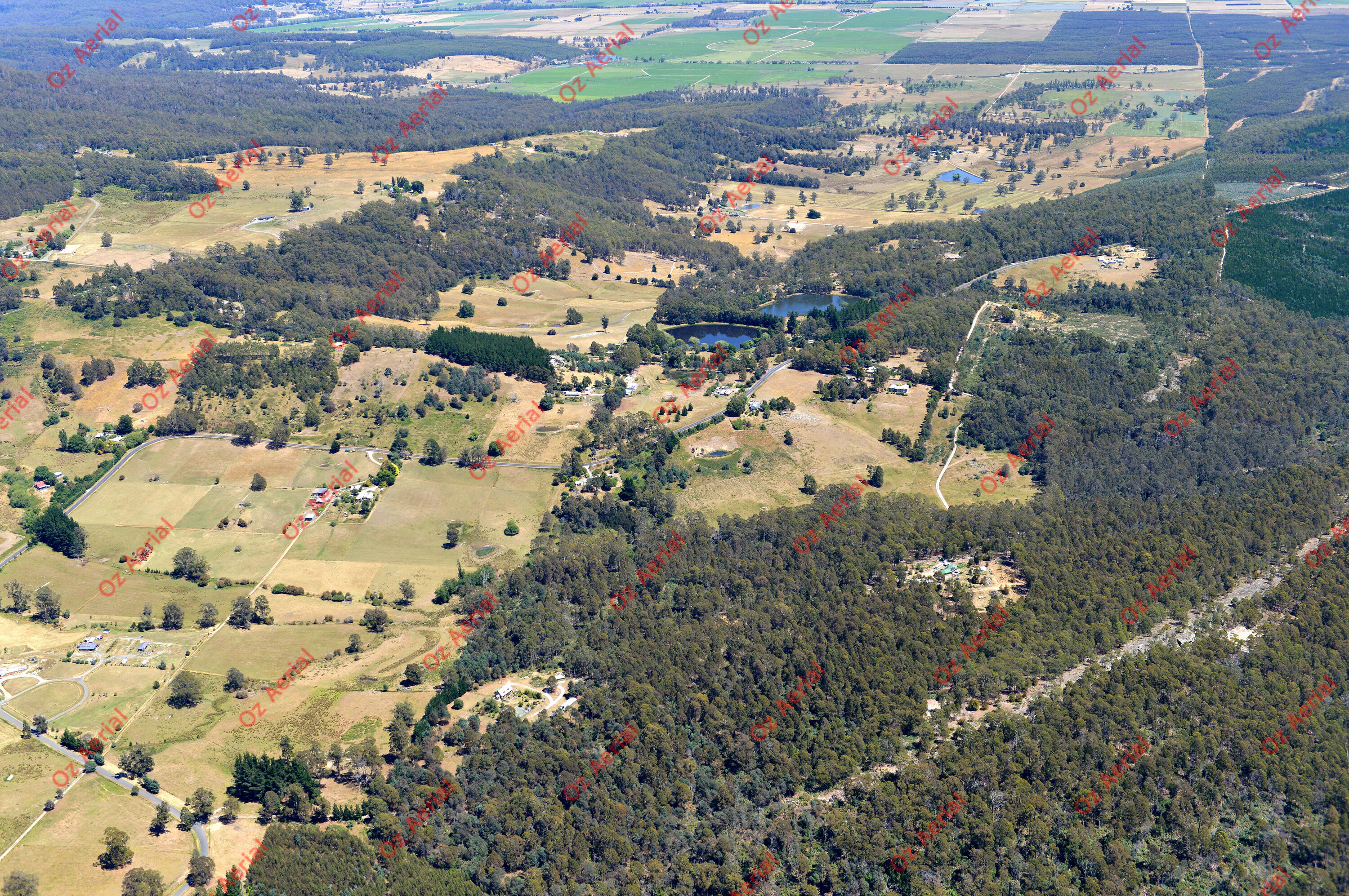 Golden Valley&nbsp;&nbsp;–&nbsp;&nbsp;DSC_3551.JPG