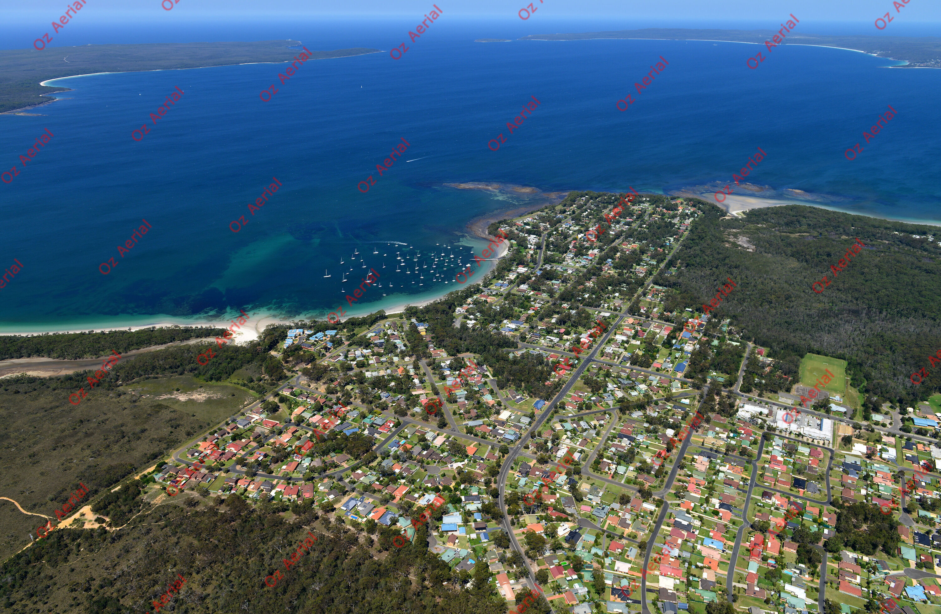 Calla Bay&nbsp;&nbsp;–&nbsp;&nbsp;DSC_6015.JPG