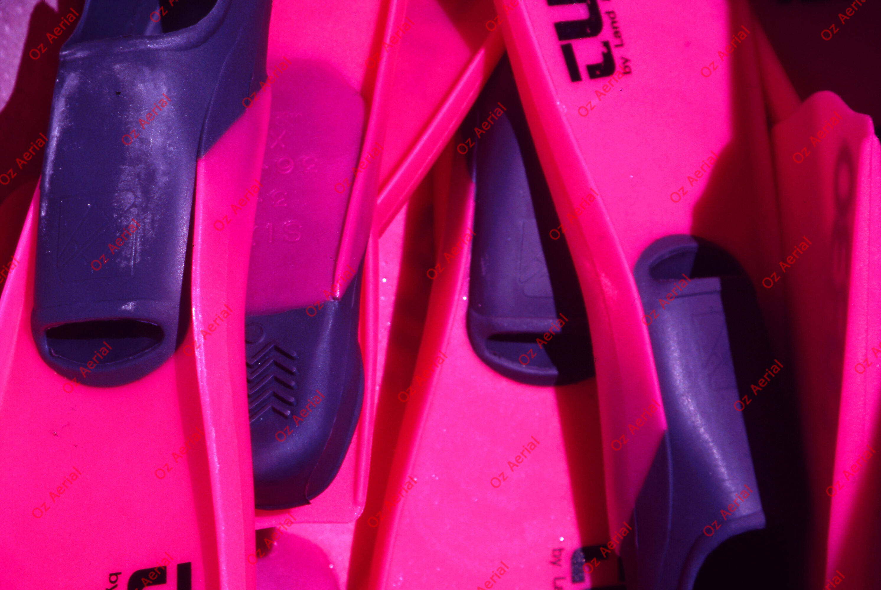 Something Fishy&nbsp;&nbsp;–&nbsp;&nbsp;6095ece7d2138_j66.jpg