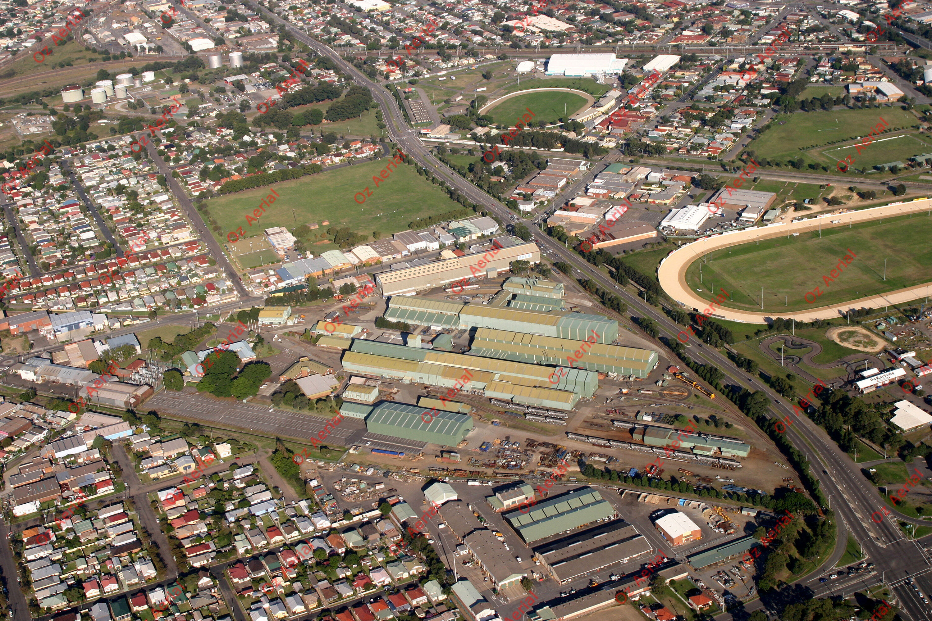 Waratah&nbsp;&nbsp;–&nbsp;&nbsp;256_5635.jpg
