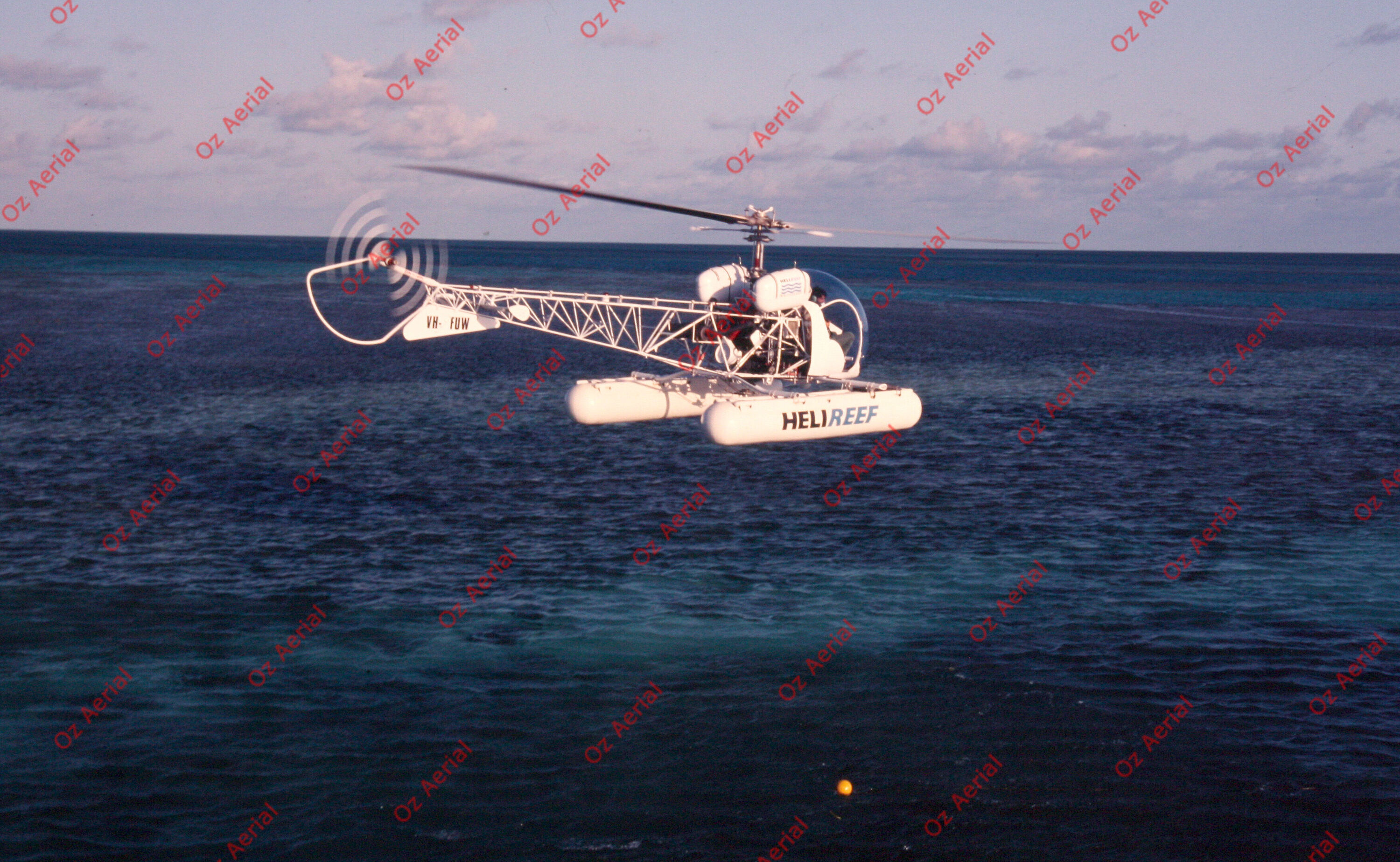 Rainforest to Reef&nbsp;&nbsp;–&nbsp;&nbsp;6095e0e54df1d_i87.JPG