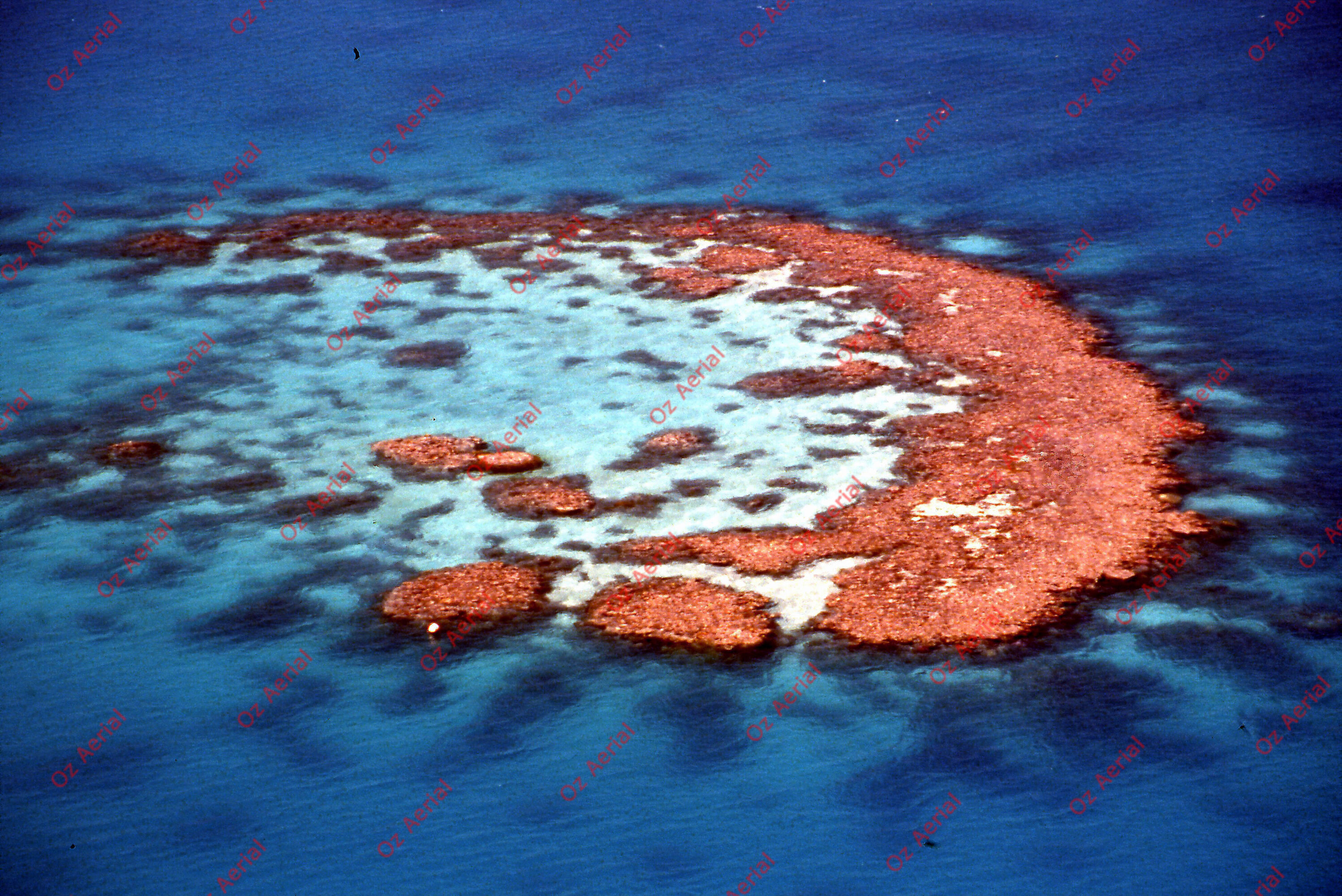 Rainforest to Reef&nbsp;&nbsp;–&nbsp;&nbsp;6095e0cb141c7_i62.jpg